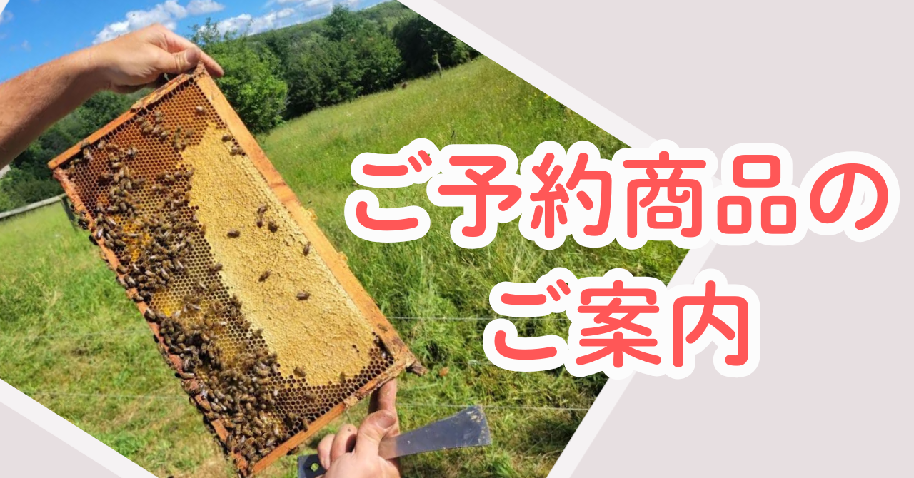 ご予約商品についてのご案内