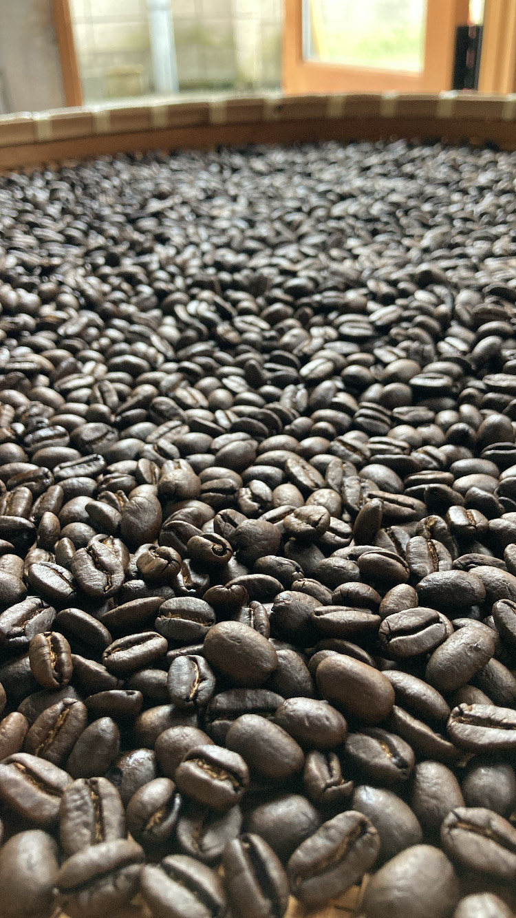 11月焙煎について