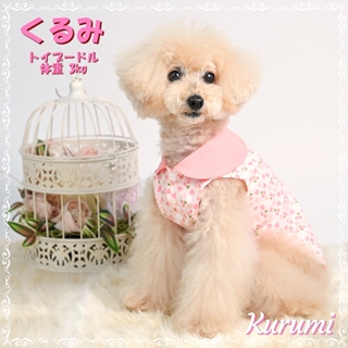 当店モデルのご紹介♪