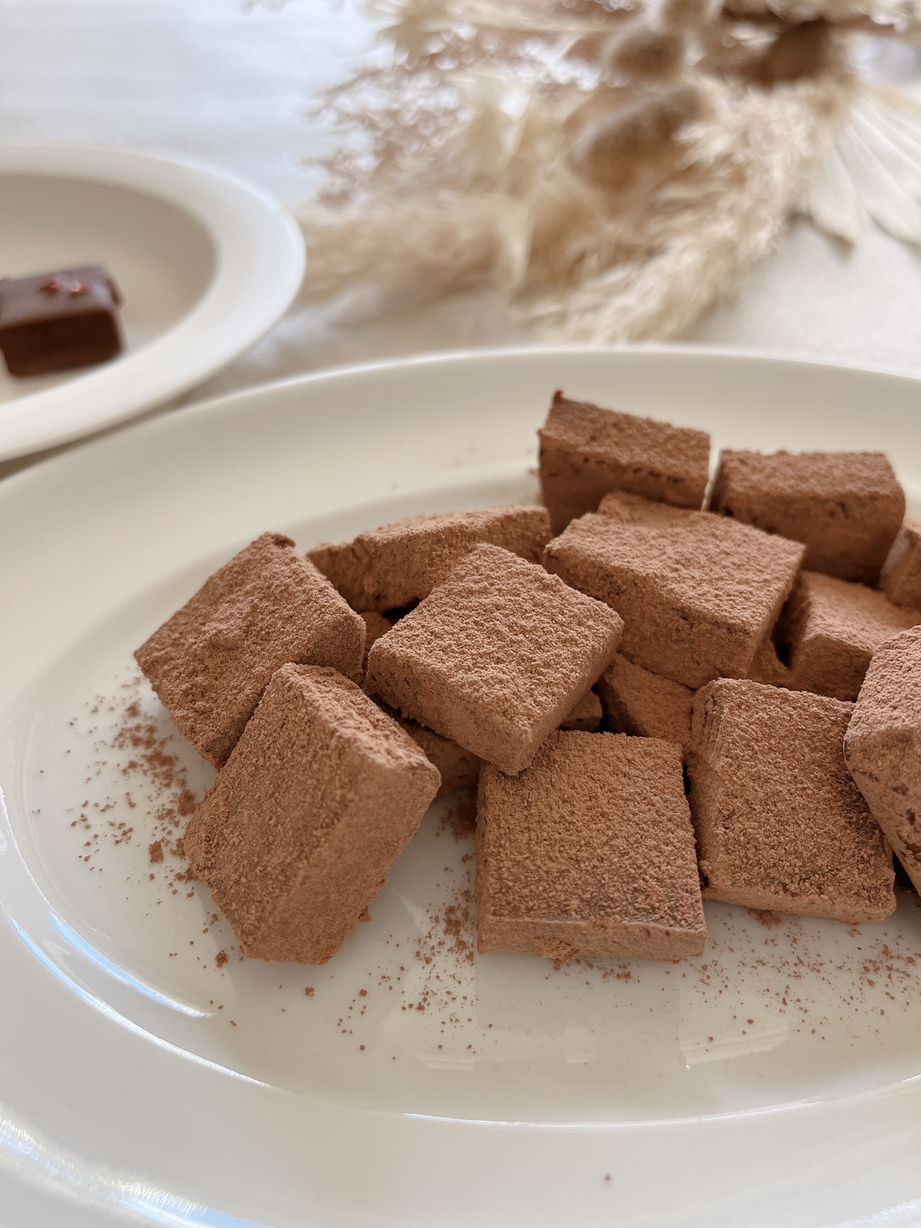 ［１月］発酵ローチョコレート