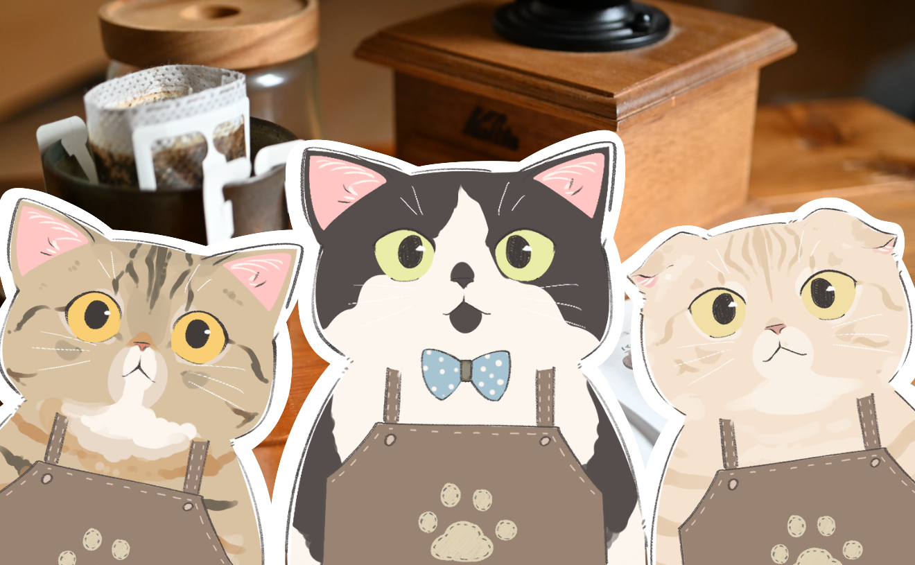 バリスタねこイラスト制作概要