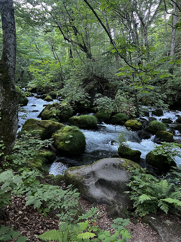 セゾン・ド・エリコ通信Vol.51◆奥入瀬渓流ホテル by 星野リゾート滞在記 〈大自然の魅力〉