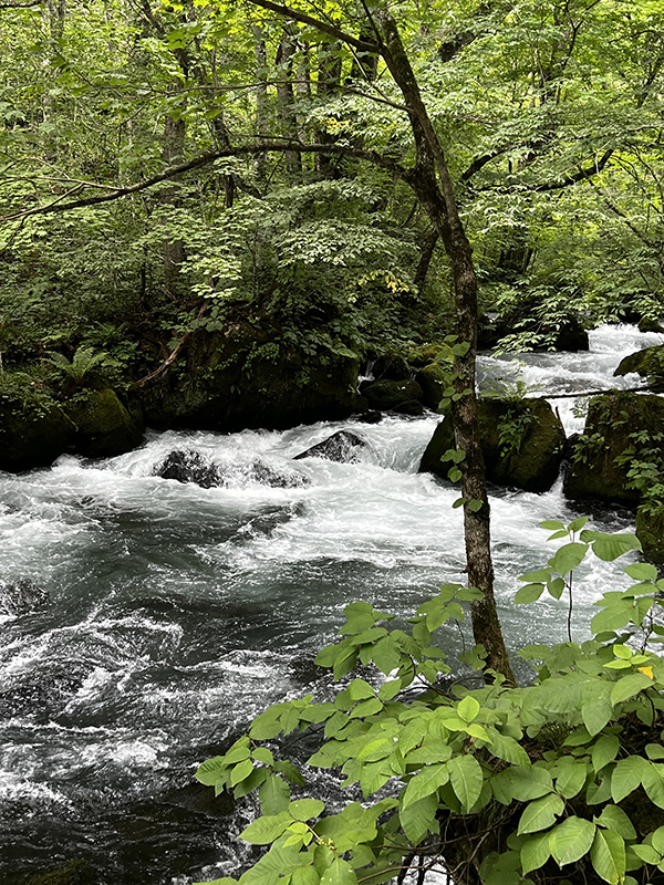『セゾン・ド・エリコ通信』Vol.52◆奥入瀬渓流ホテル by 星野リゾート滞在記 〈美食の魅力〉
