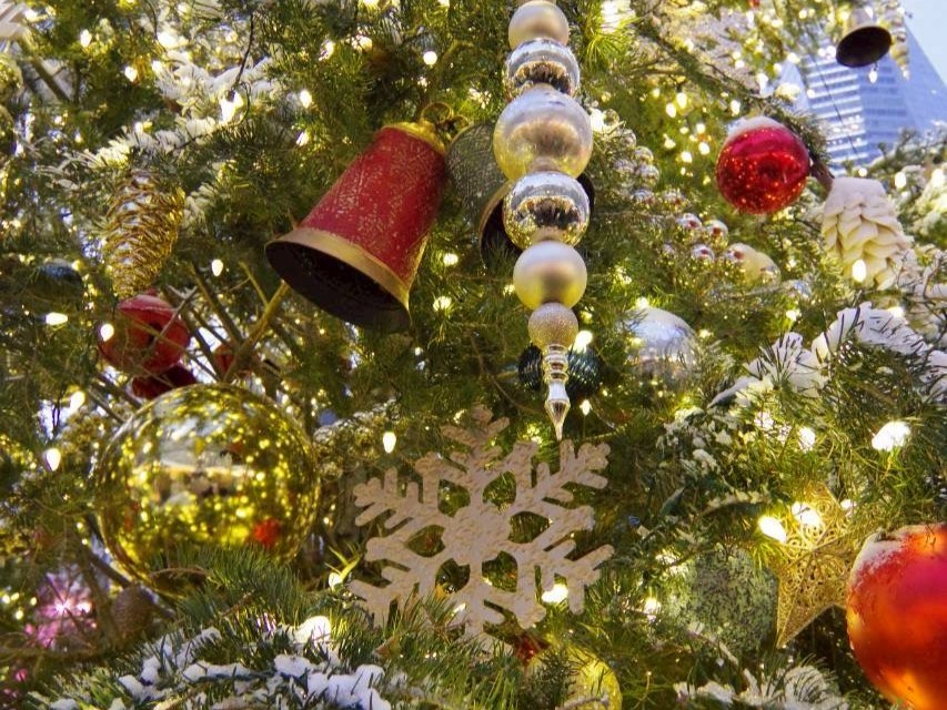 『中村江里子セレクションAve.KIKI通信』Vol.3◆NYからMerry Christmas !