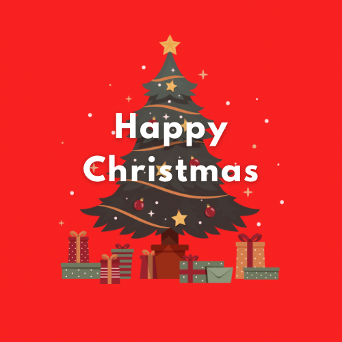 楽しいクリスマスを✩.*˚