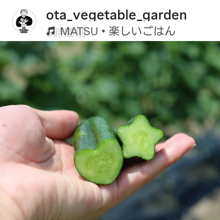 ♡☆デコキュウリで食卓を楽しく🎶