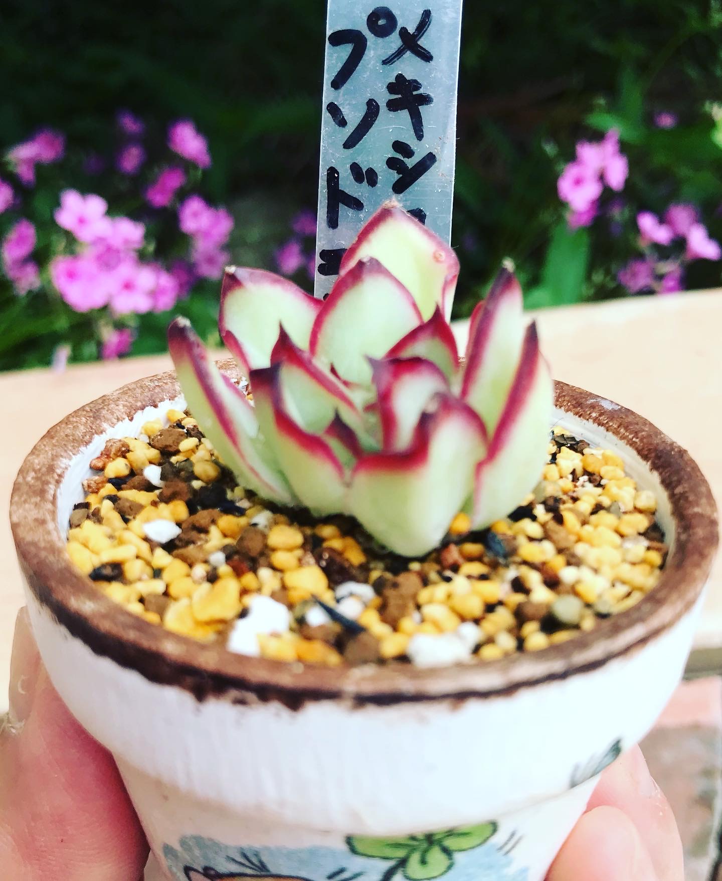 こんなのもあります。