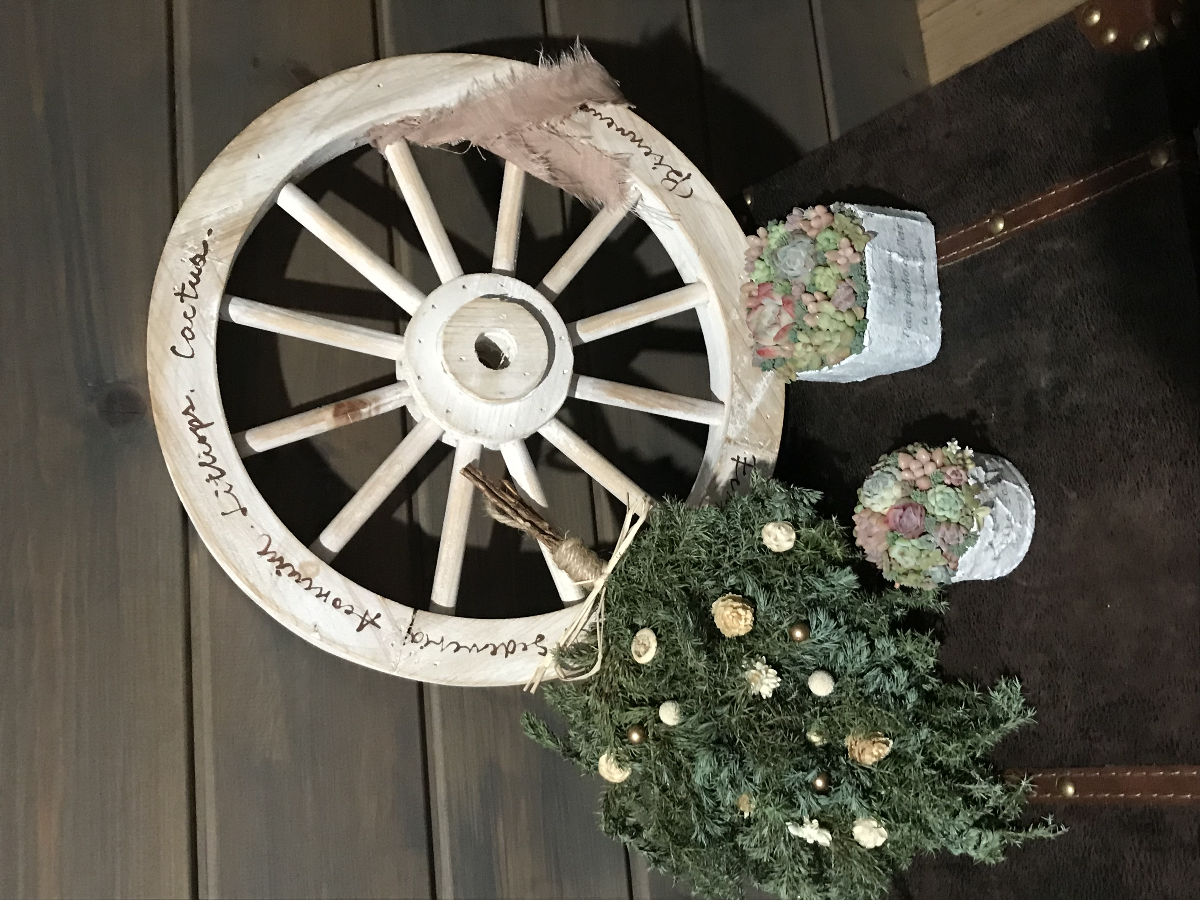 ちまちま寄せ植え