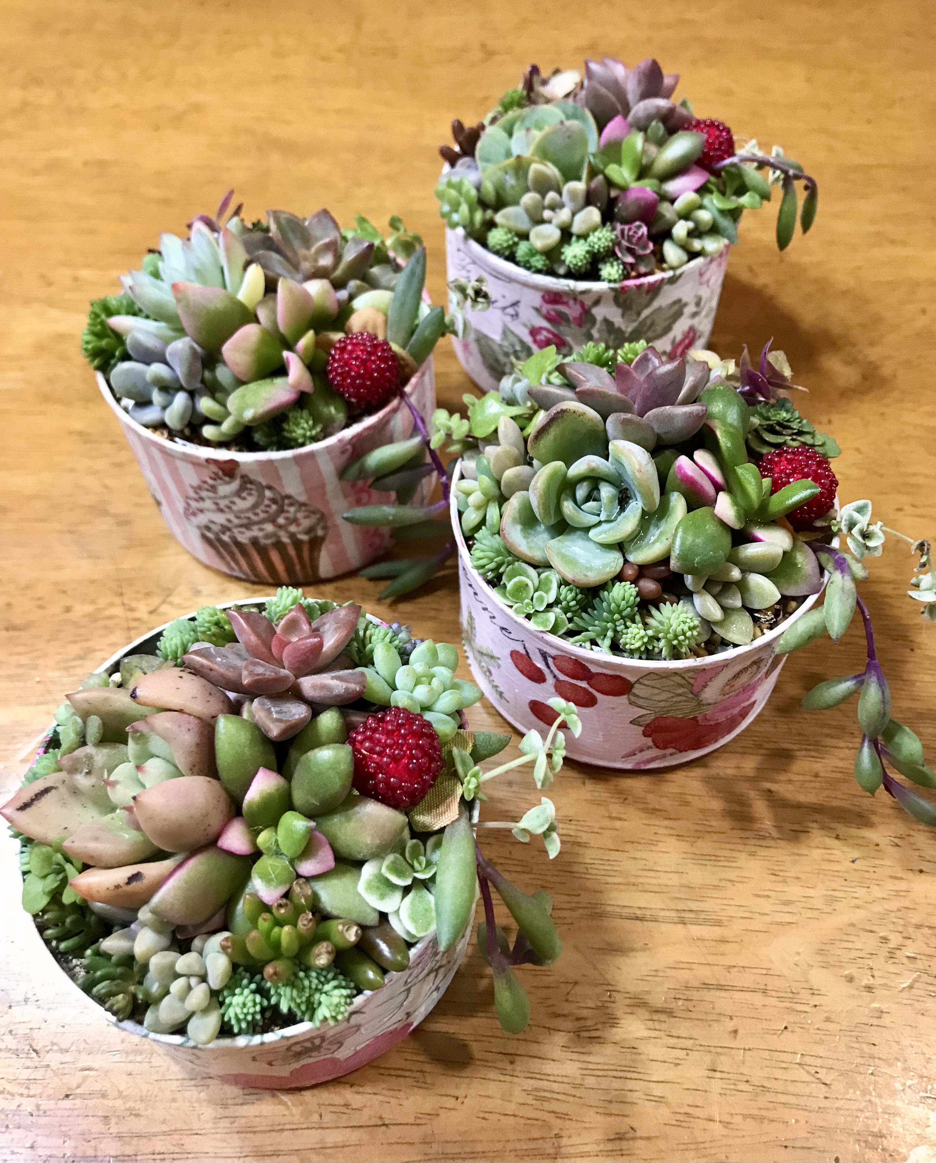 リメ缶に寄せ植え