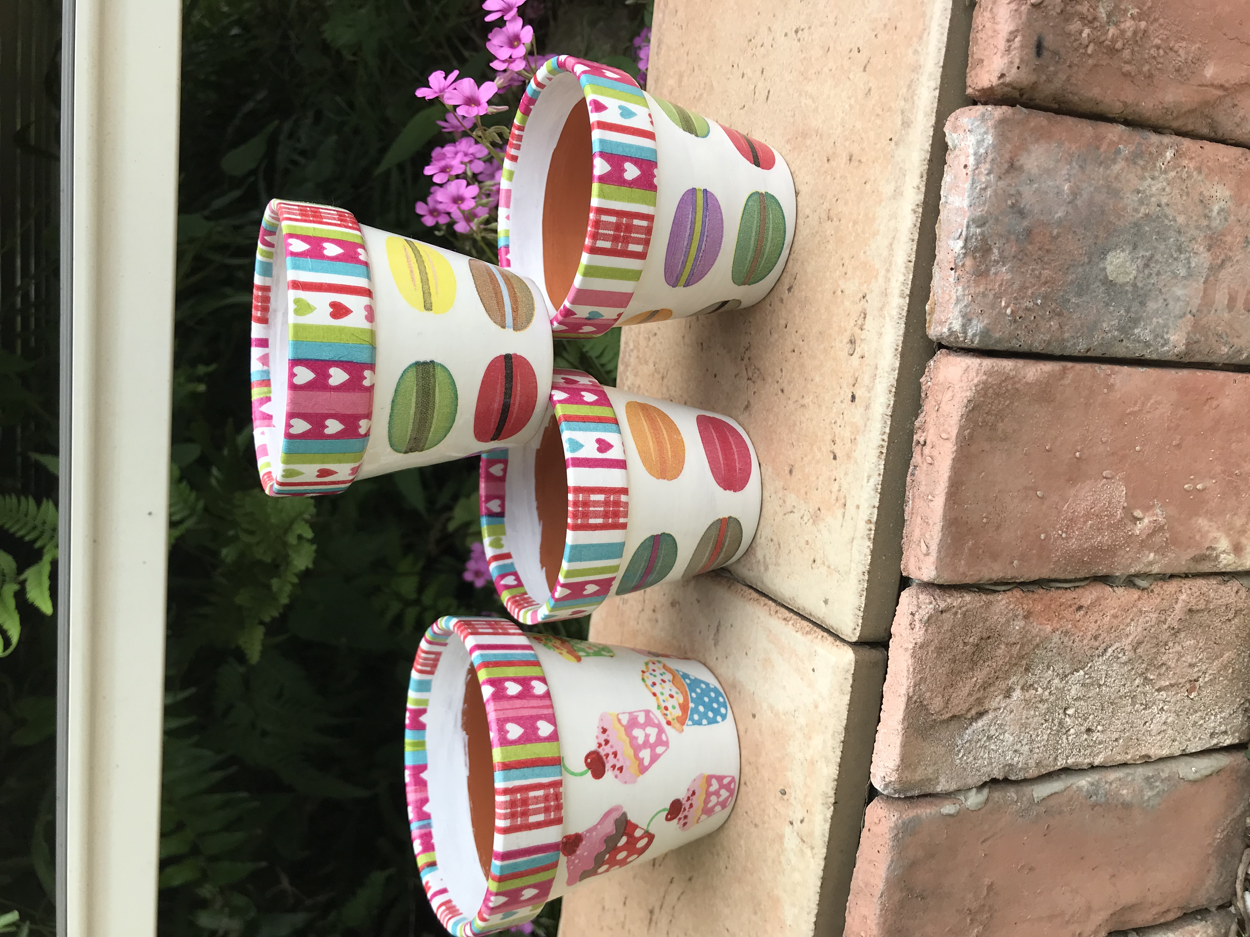 リメ鉢到着❣️