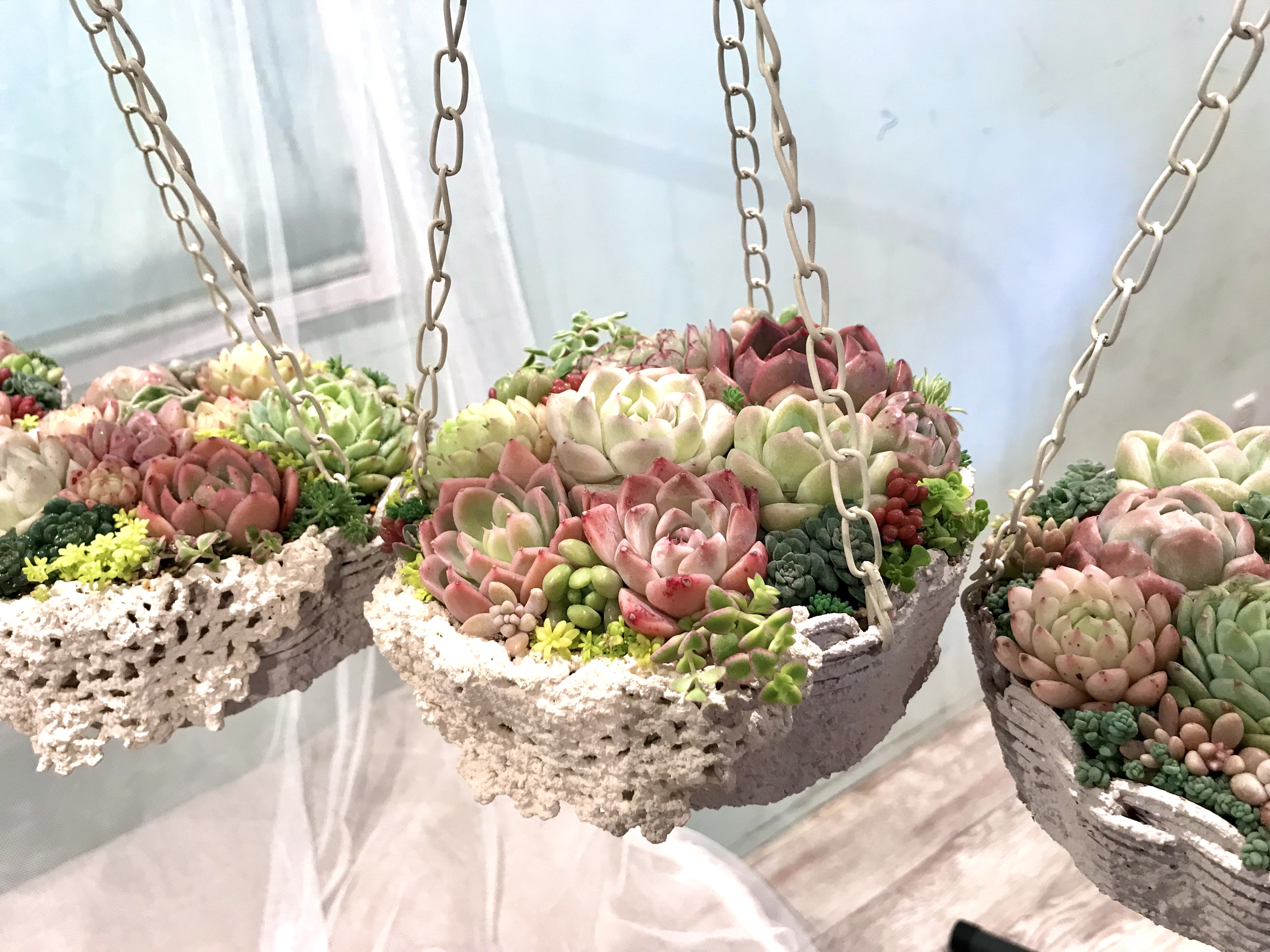 吊り籠寄せ植え