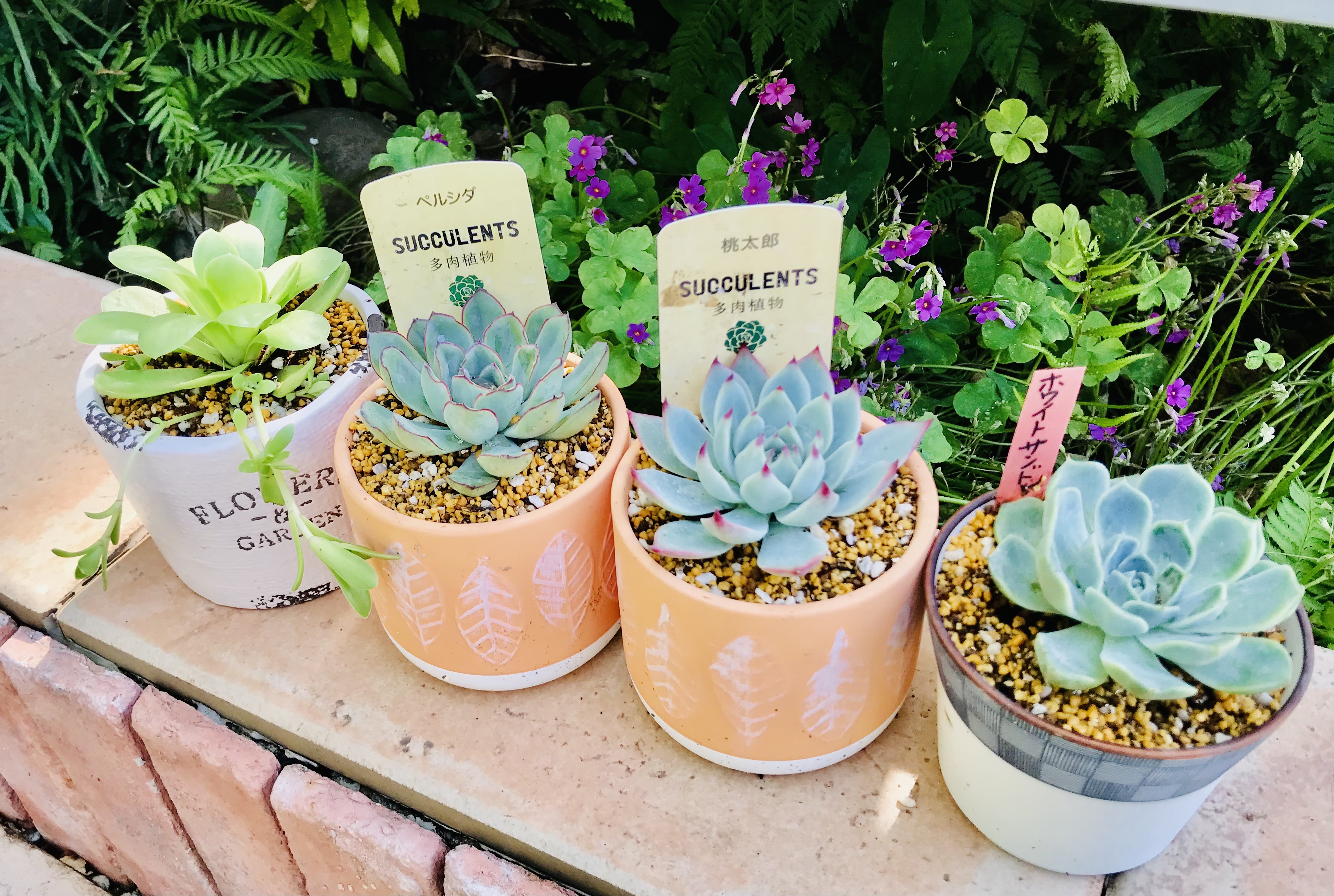 おひとり様(その2)