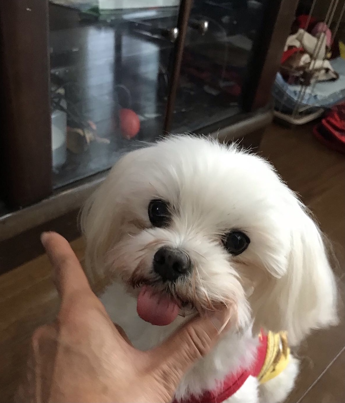 はるるのキメ顔❣️