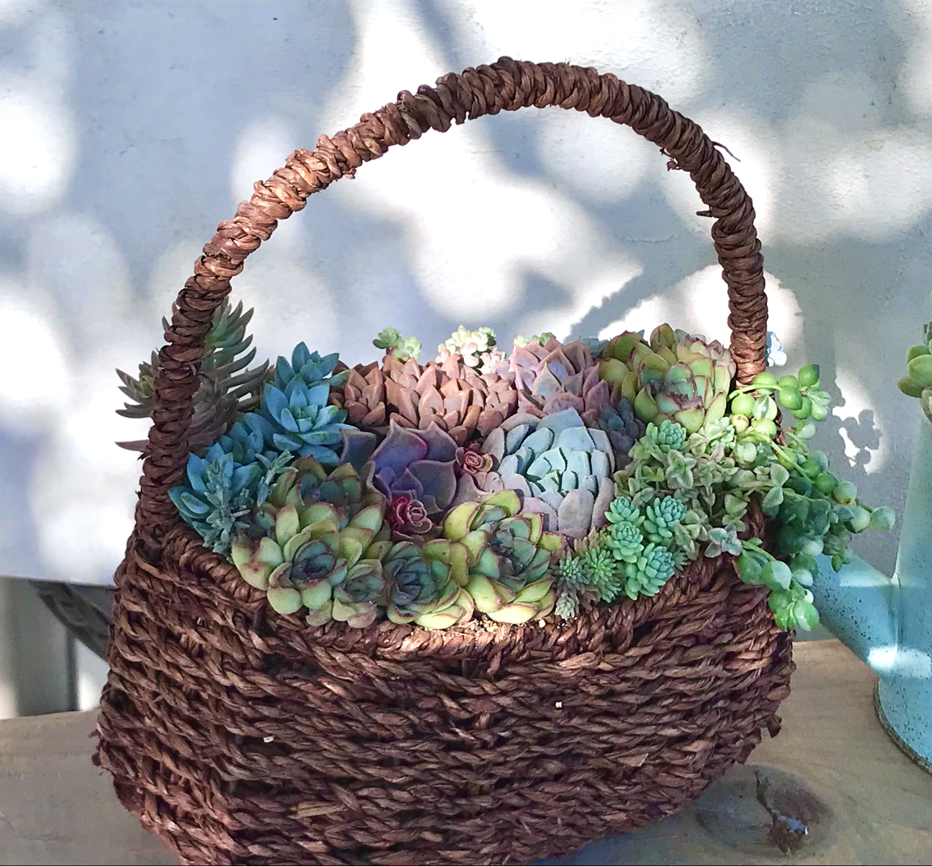 バスケットに寄せ植え