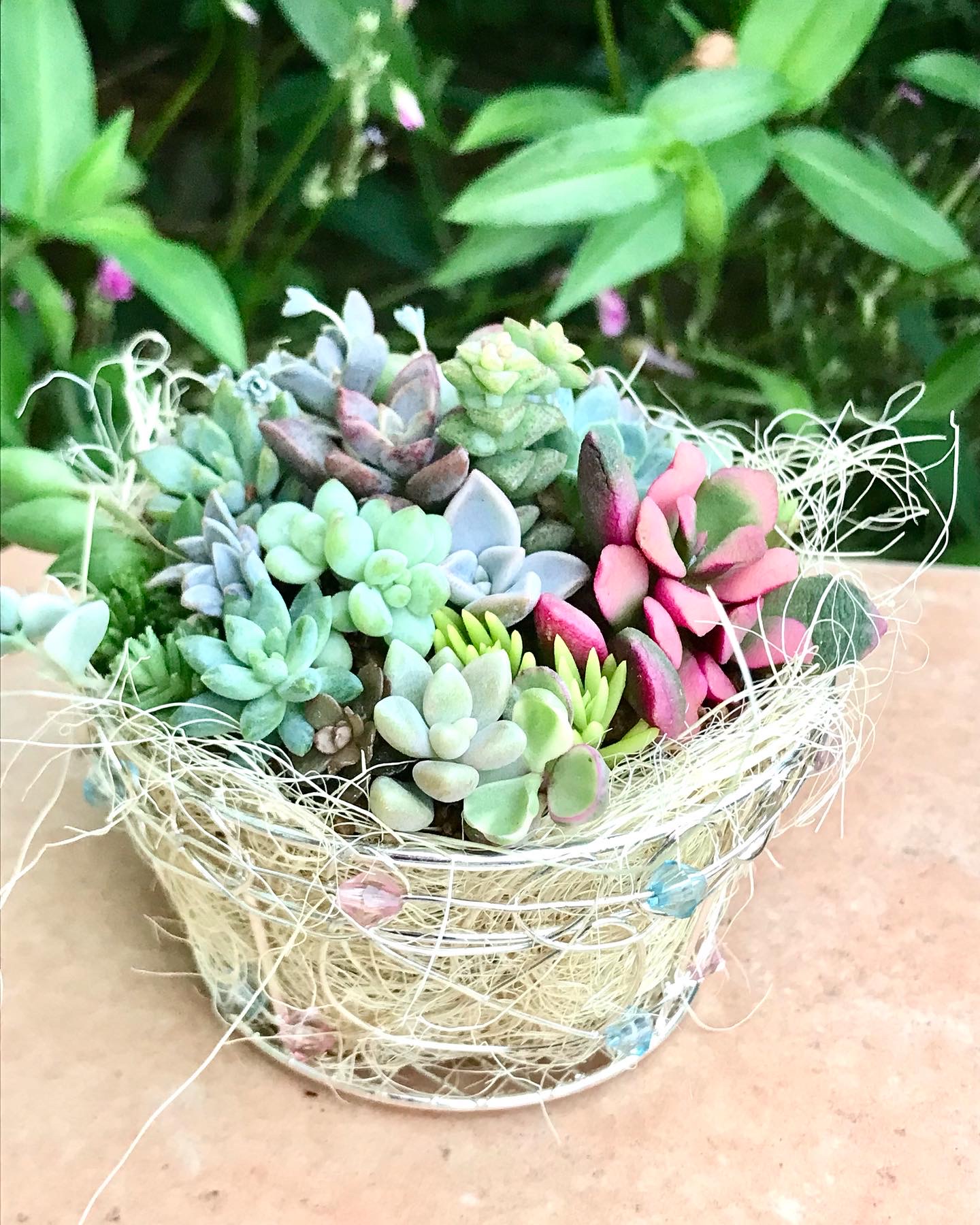 カゴに寄せてみました。