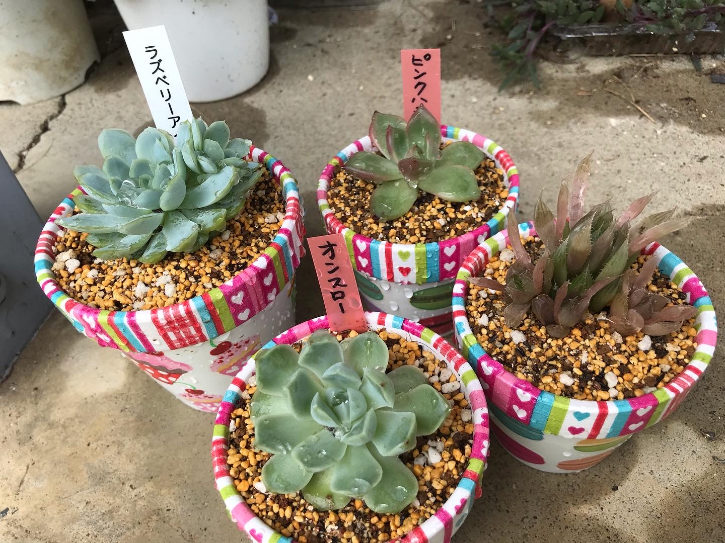 お一人様(その3)