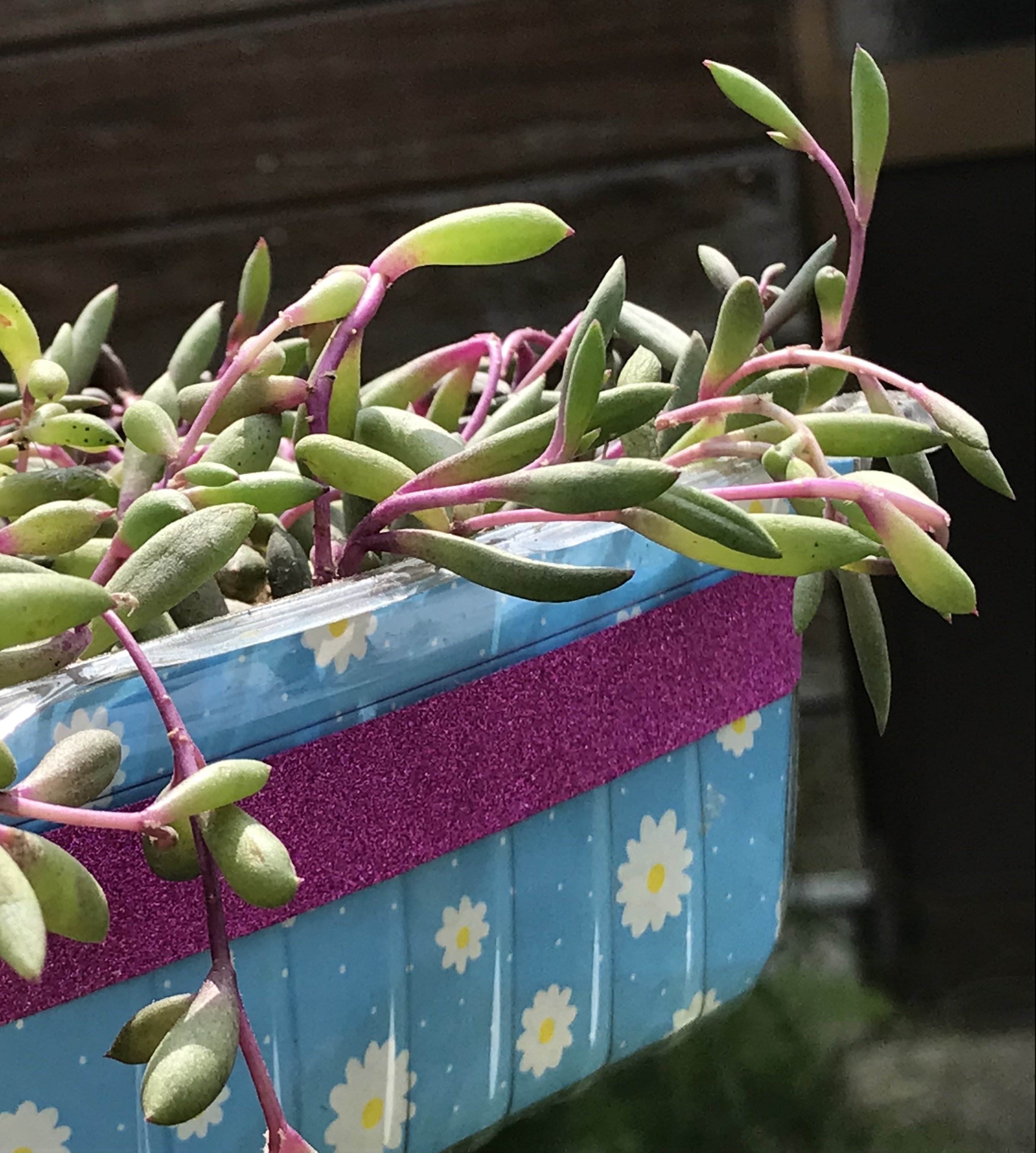 ルビーネックレスのお部屋を作ったよ