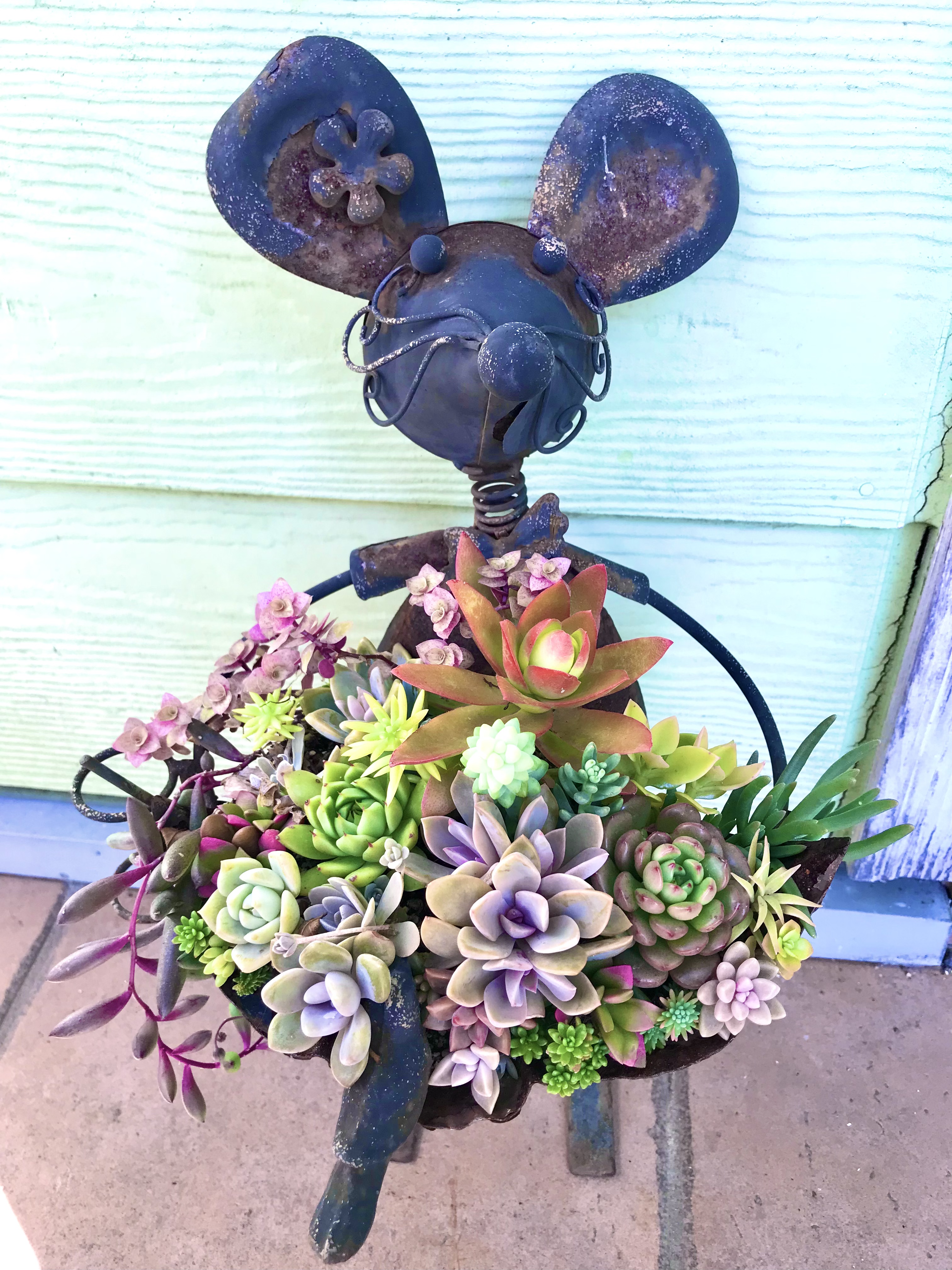 ネズミくん、いよいよ紅葉