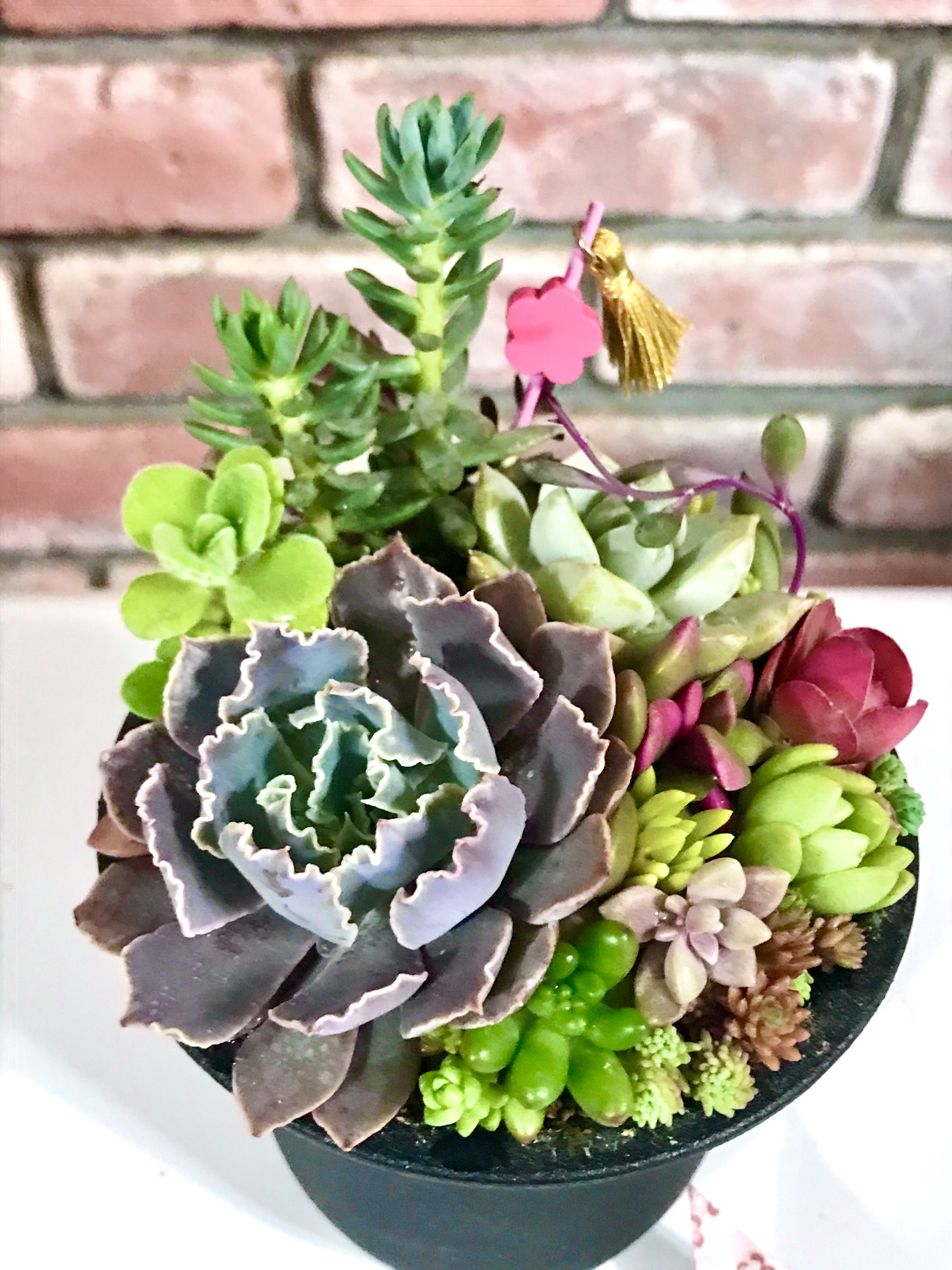 お正月寄せ植え注文受けます