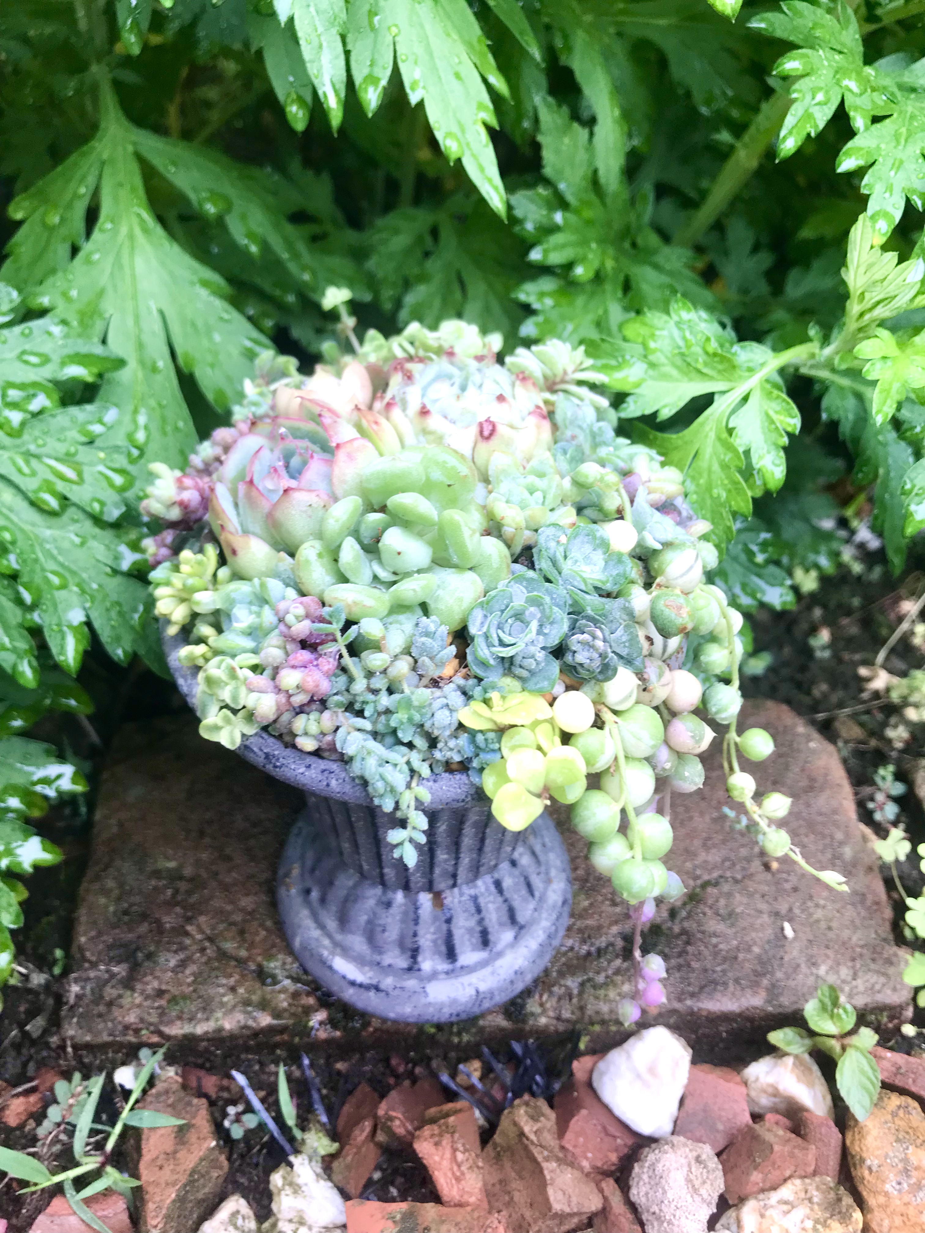 雨に濡れたワインカップ