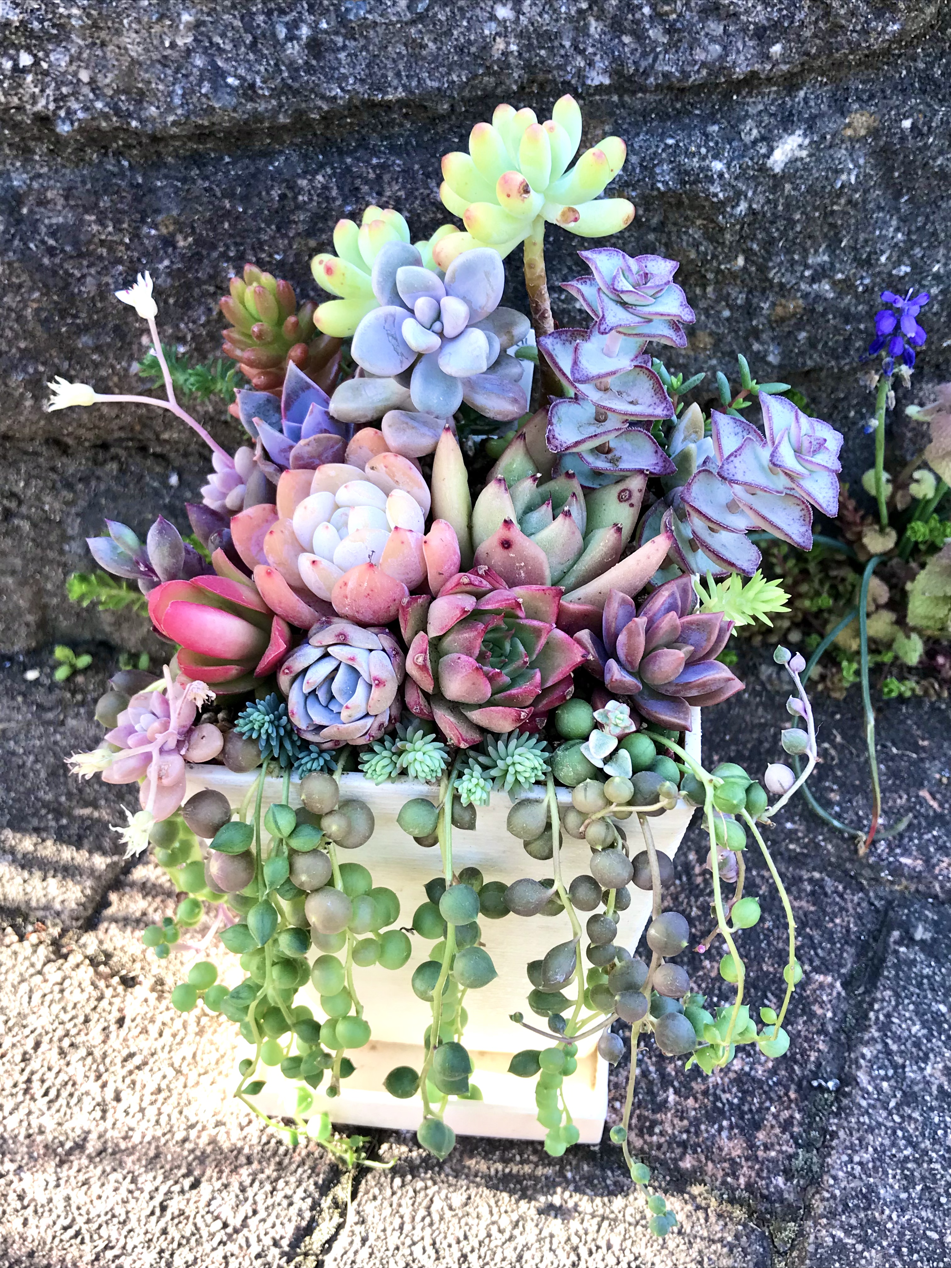 踊るグリーンネックレス