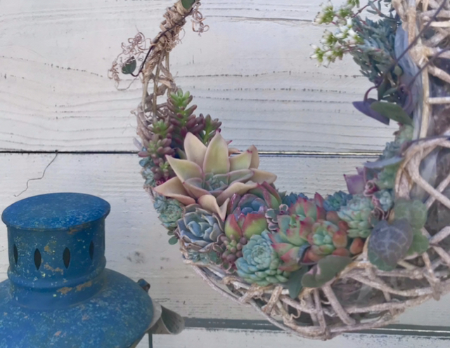 クレッセントリース(多肉植物寄せ植え)