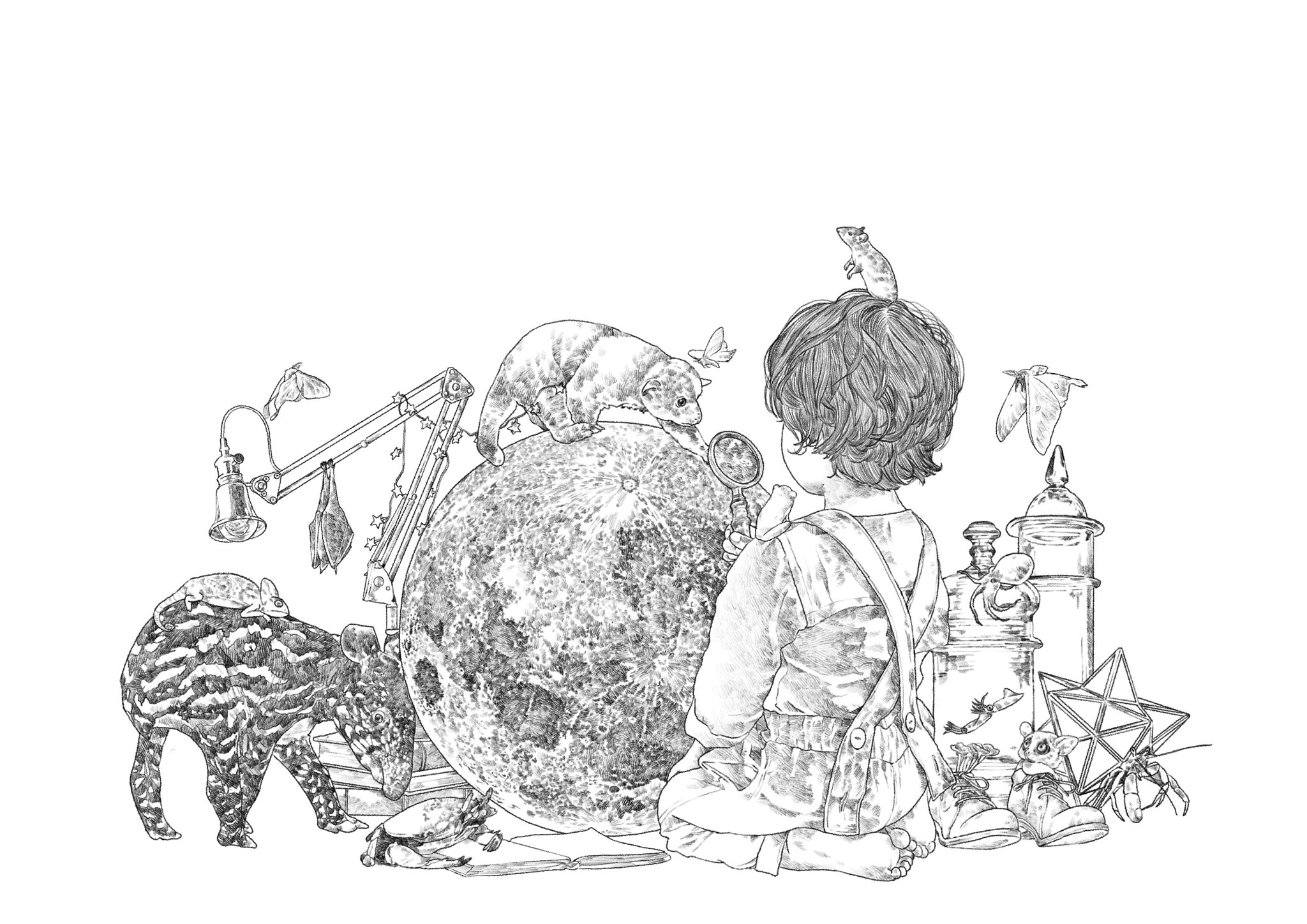 \ Nightbiologyの線画 /(絵の解説)