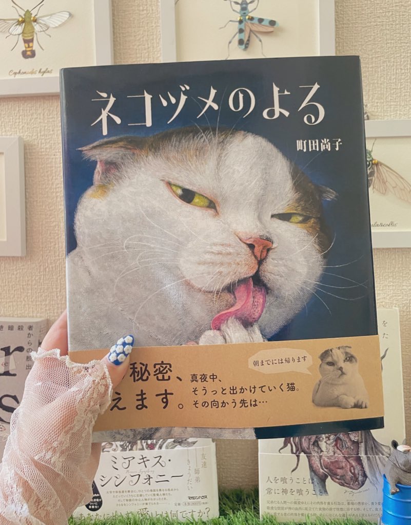 \ おすすめの絵本 2 /