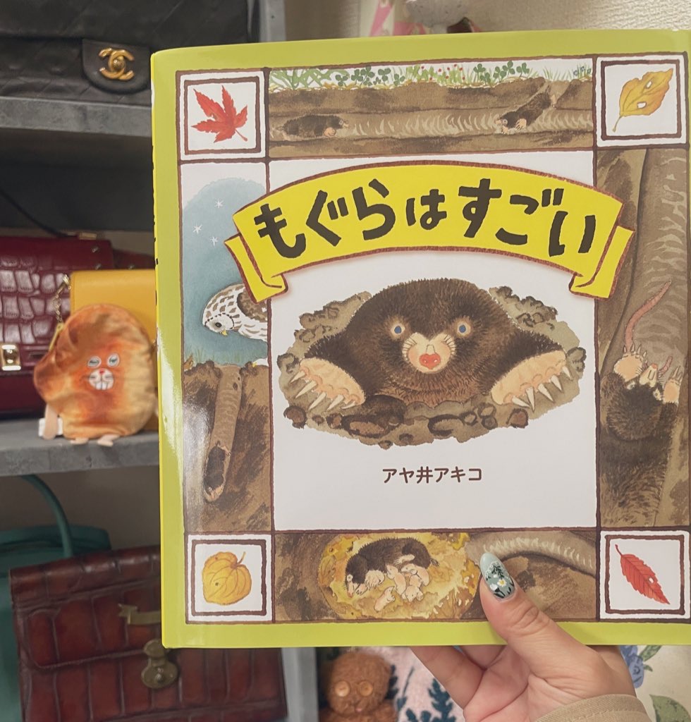 \ オススメの絵本 /