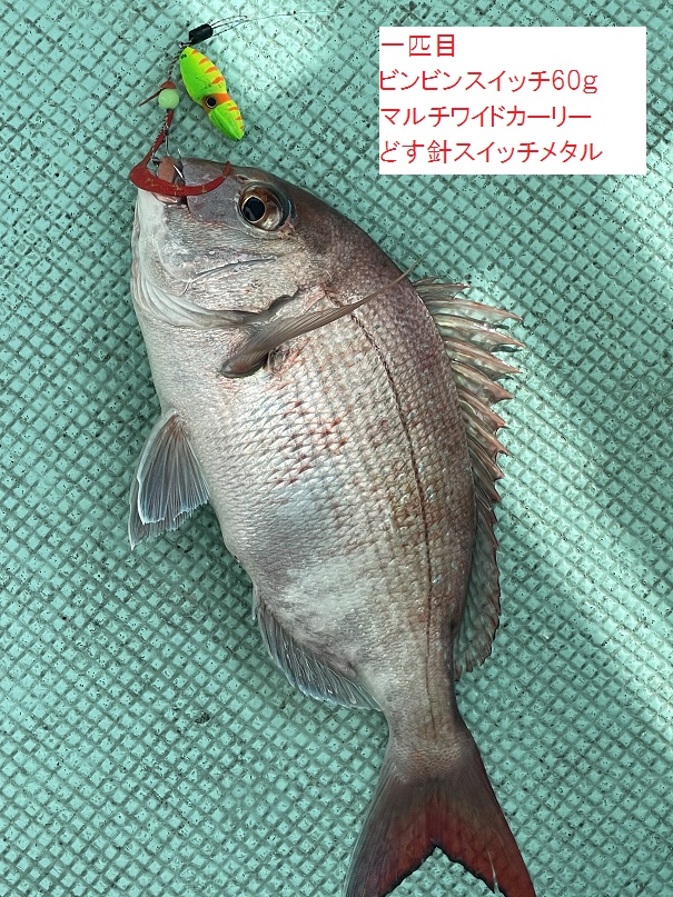 【釣行記】耕栄丸　2022年7月21日　タイラバ便