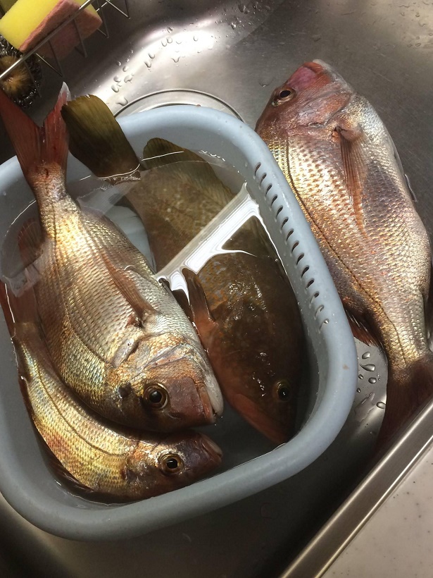 明石のタイラバは変革期。そして釣りたい場面