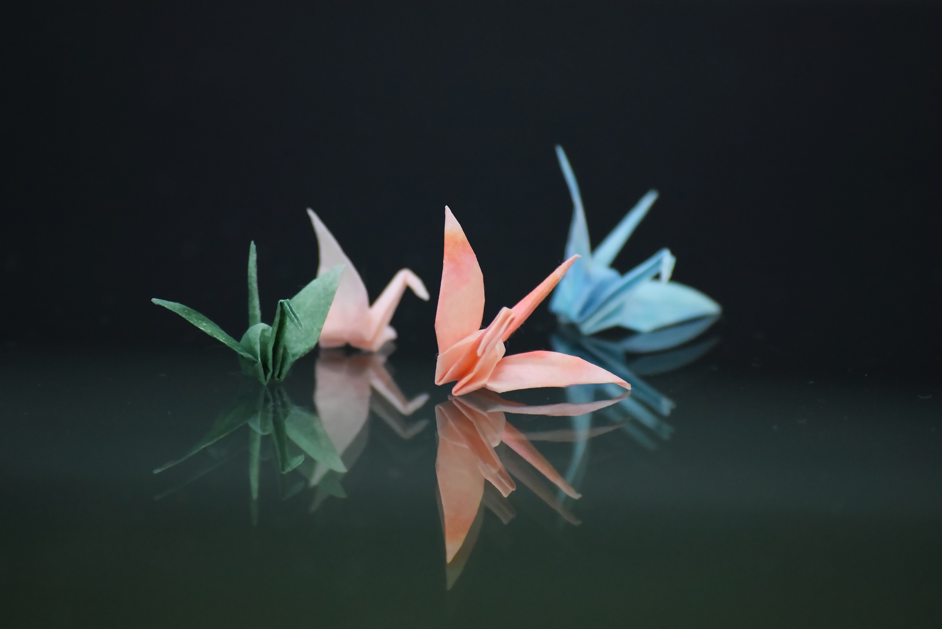 京丹後和紙で作る折り鶴の魅力。