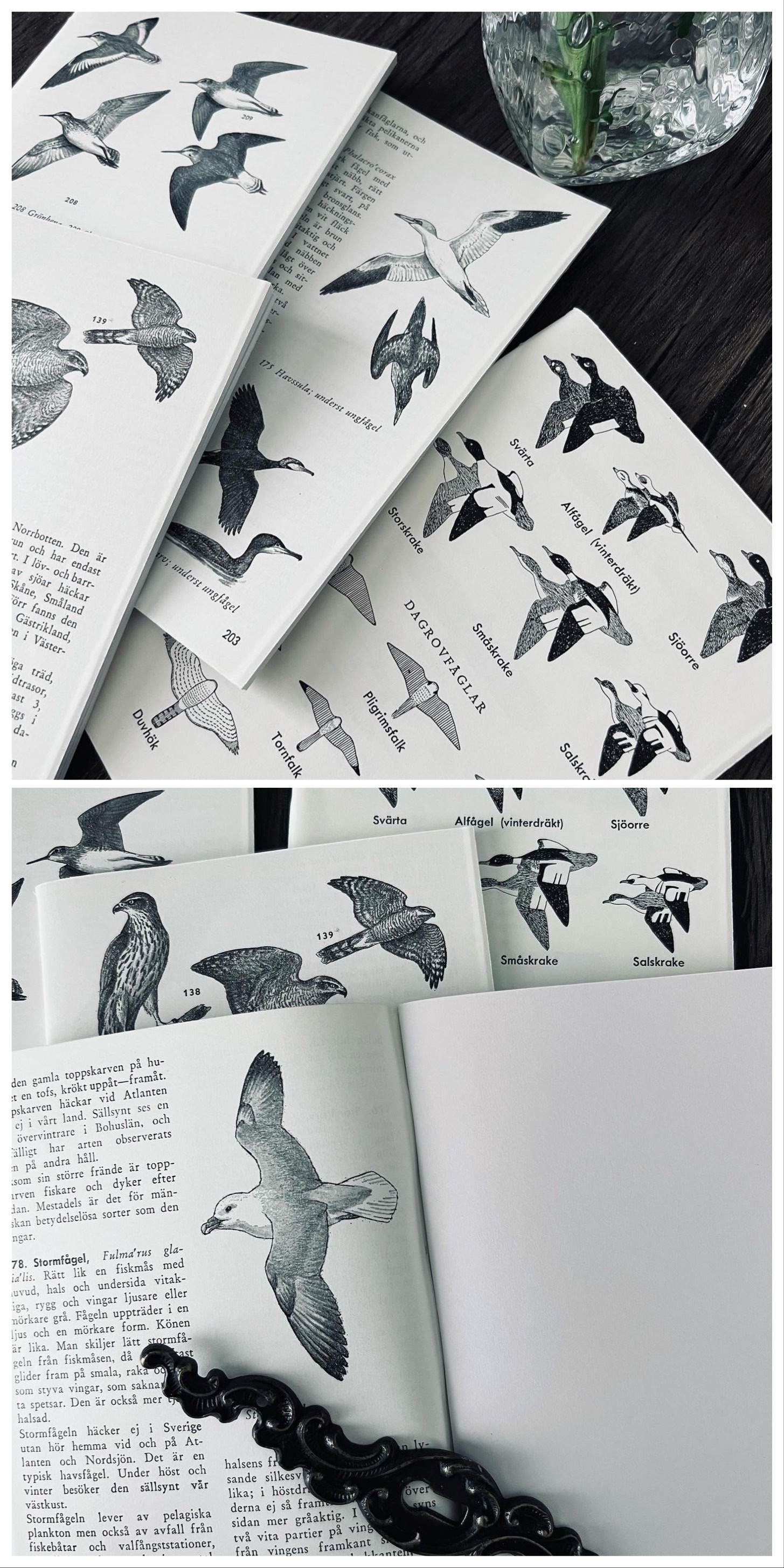 鳥類専門書リメイクノート