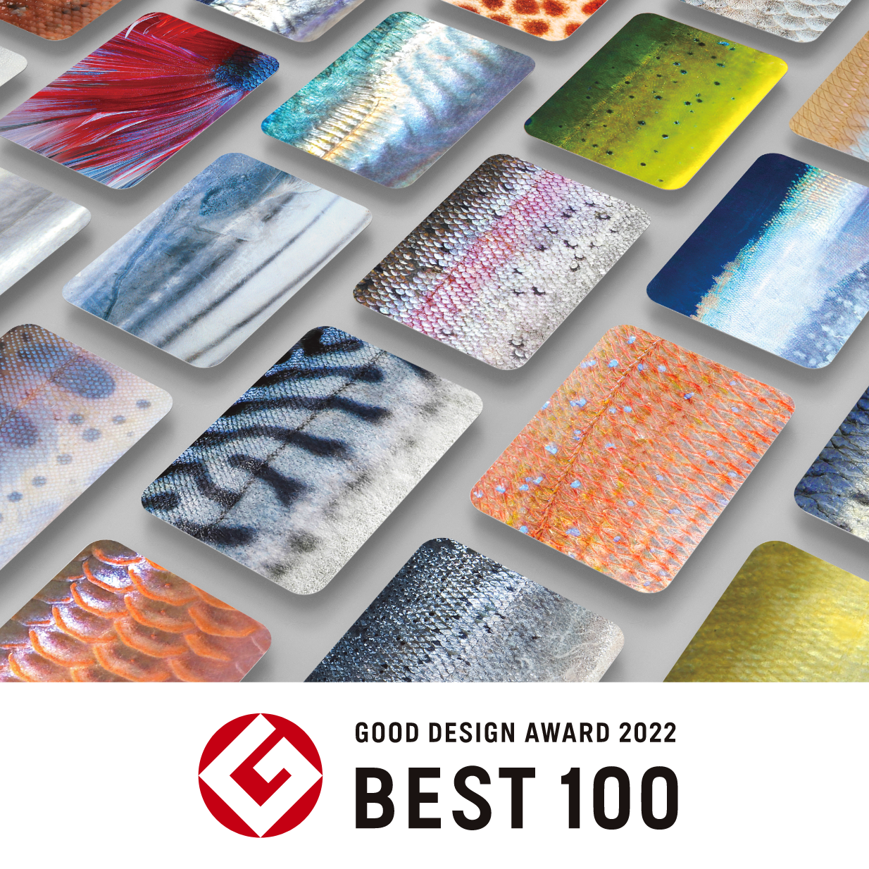 【グッドデザイン・ベスト100】と【グッドフォーカス賞「技術・伝承デザイン」】を受賞致しました！