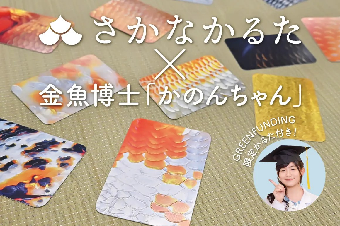 「さかなかるたプラス 金魚版」2種のクラウドファンディングを開始致しました。