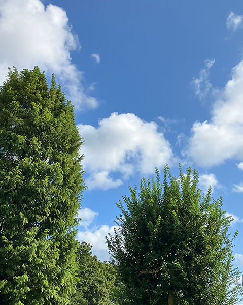 まだまだ夏！
