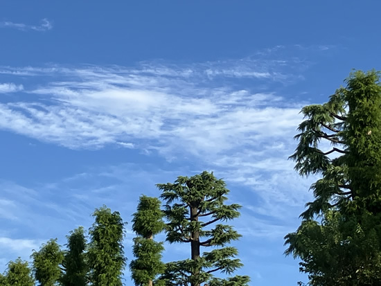 秋の空気・入荷情報(コンコンブルシリーズ)