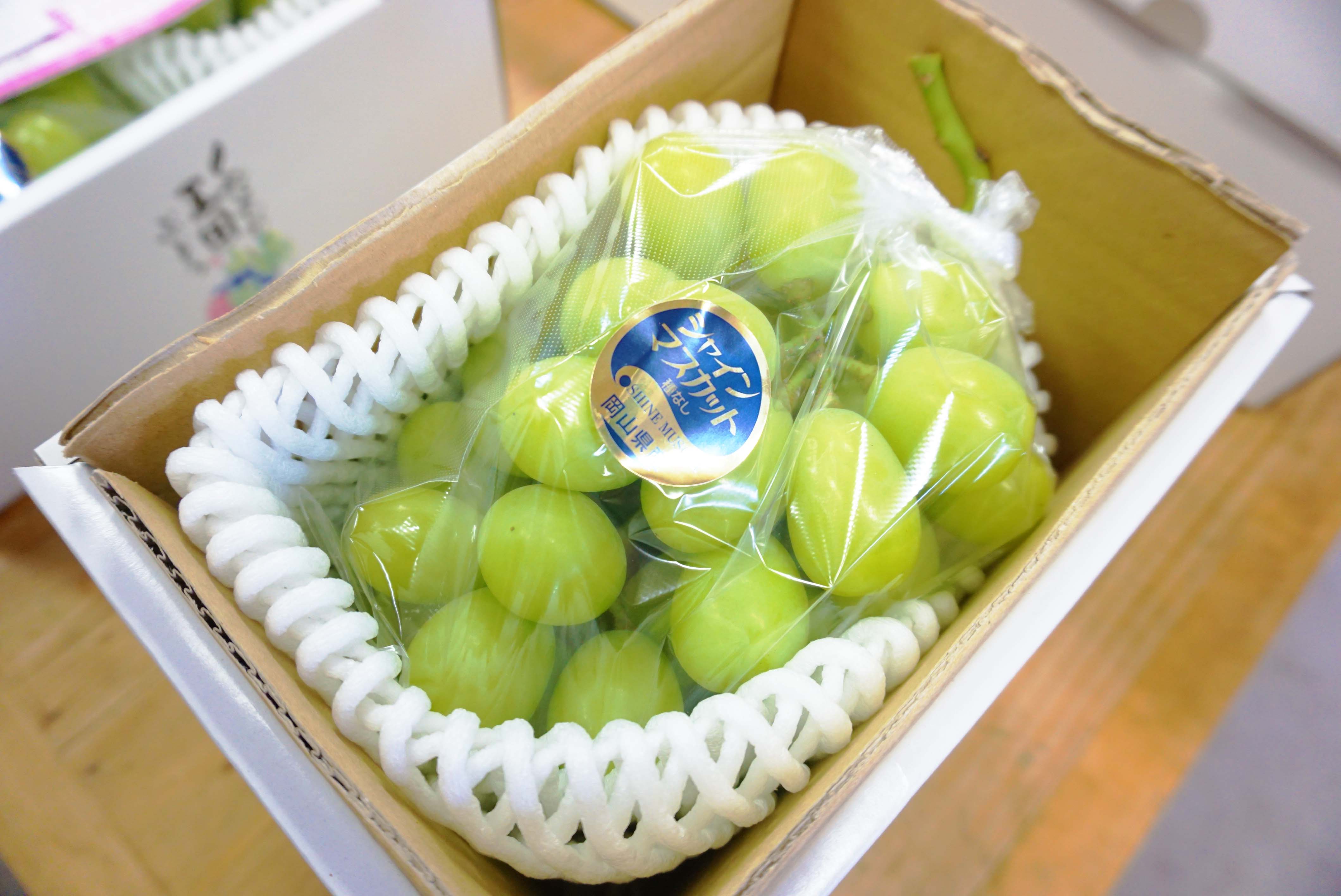 【お知らせ】先週から発送開始しております。