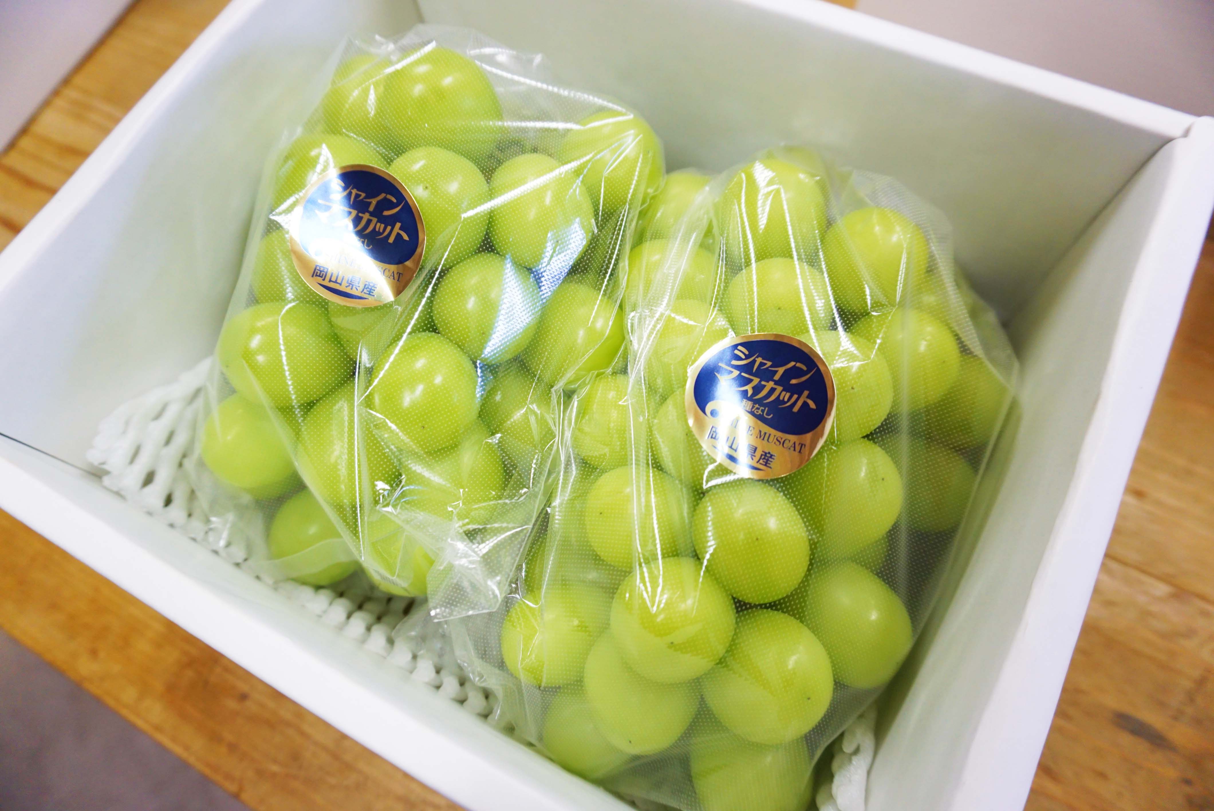 【お知らせ】1箱約1.5kg入りBronze Classの販売開始