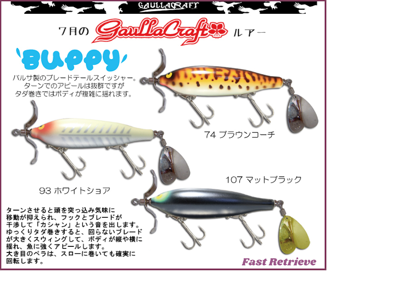 7月のガウラクラフトルアー