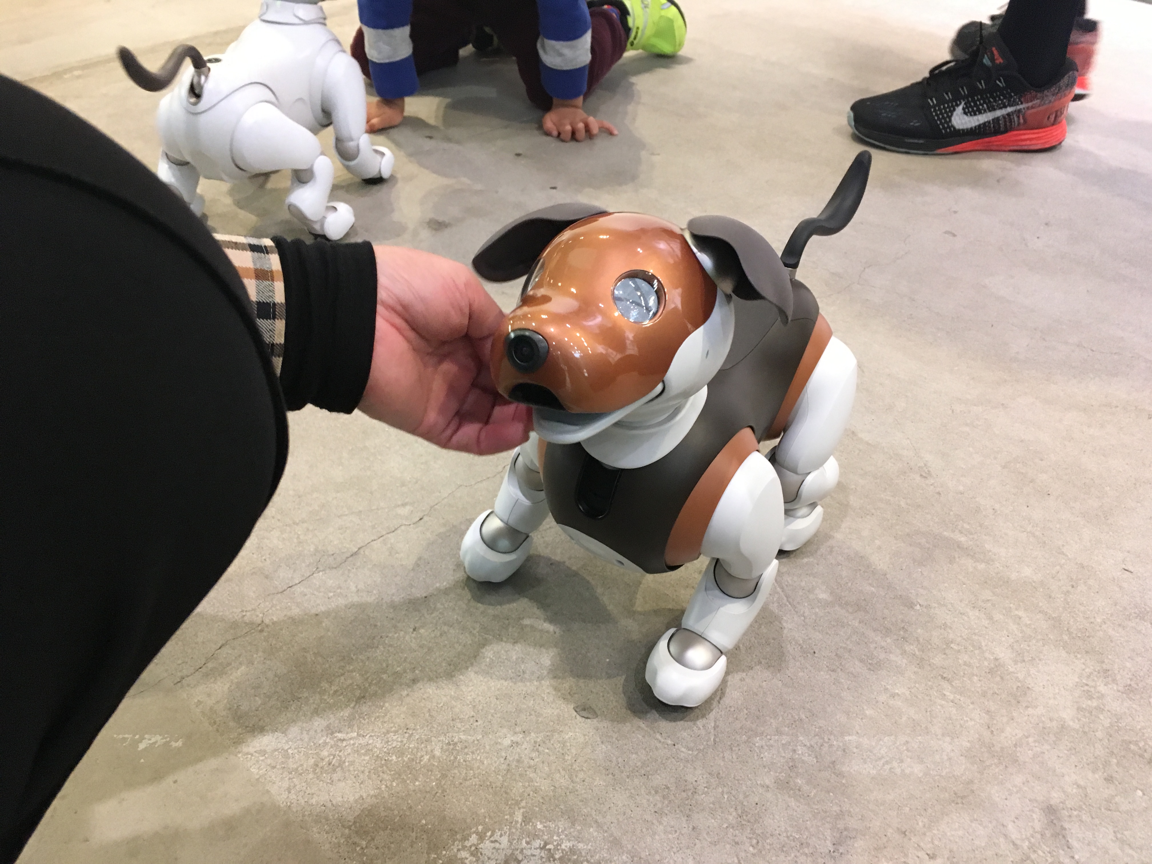 ロボット犬