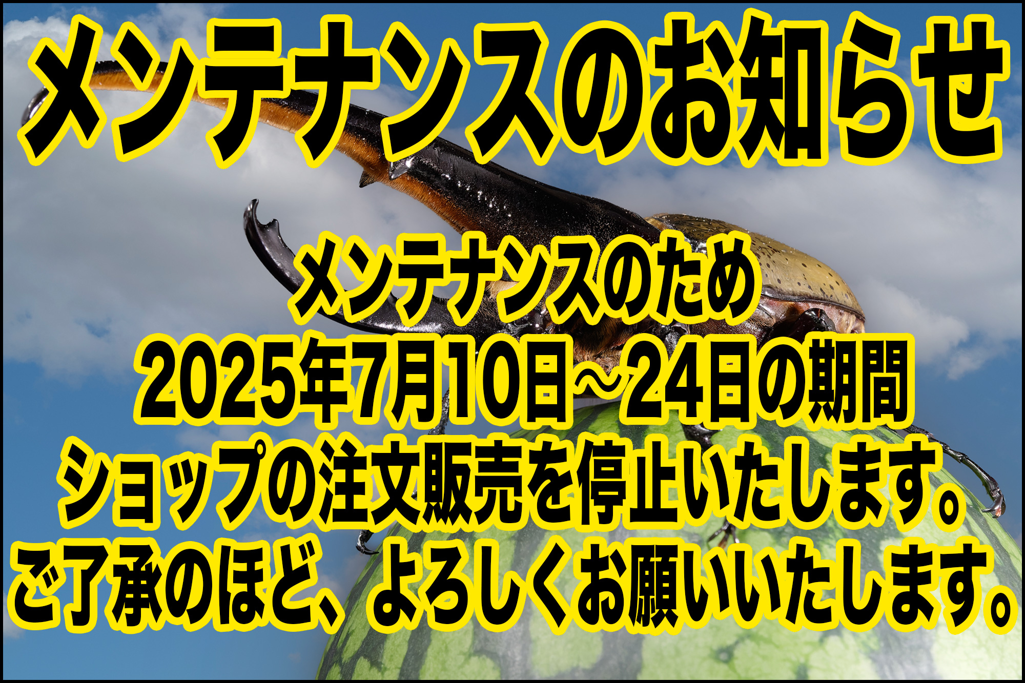 『お知らせ』メンテナンスのため「7/10-24」は注文販売を停止いたします。