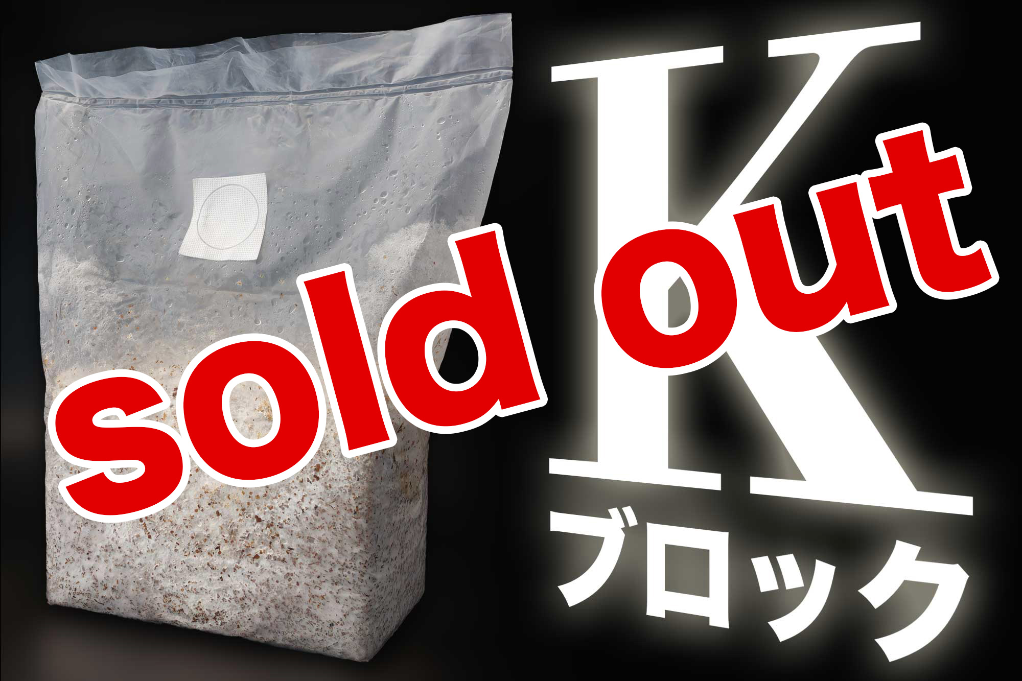 Kブロック売切中m(_ _)m　次回予約販売までお待ちください。