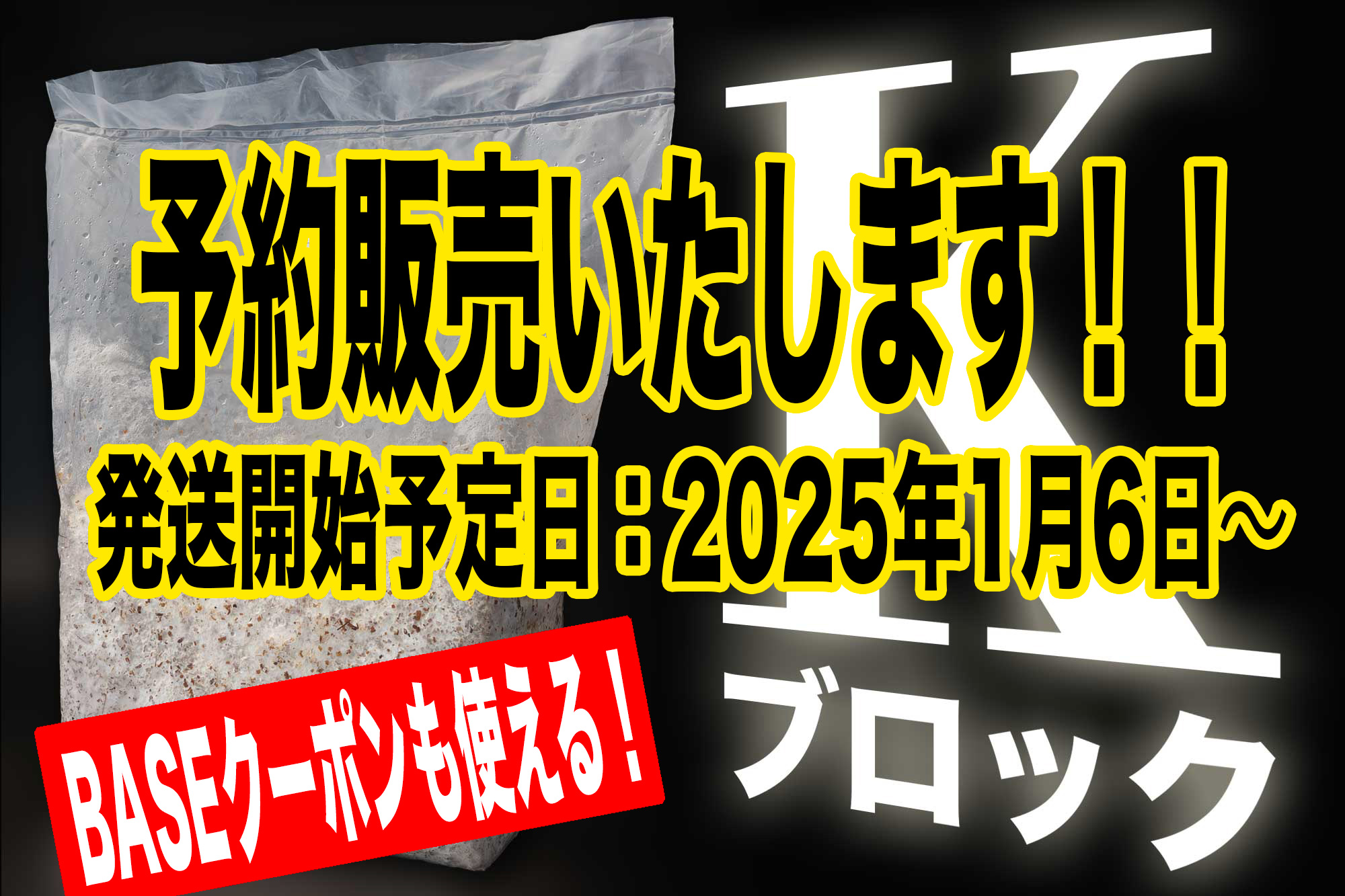 Kブロック予約販売いたします！！　発送開始予定日:2025年1月6日〜【BASEクーポンも使用可！】