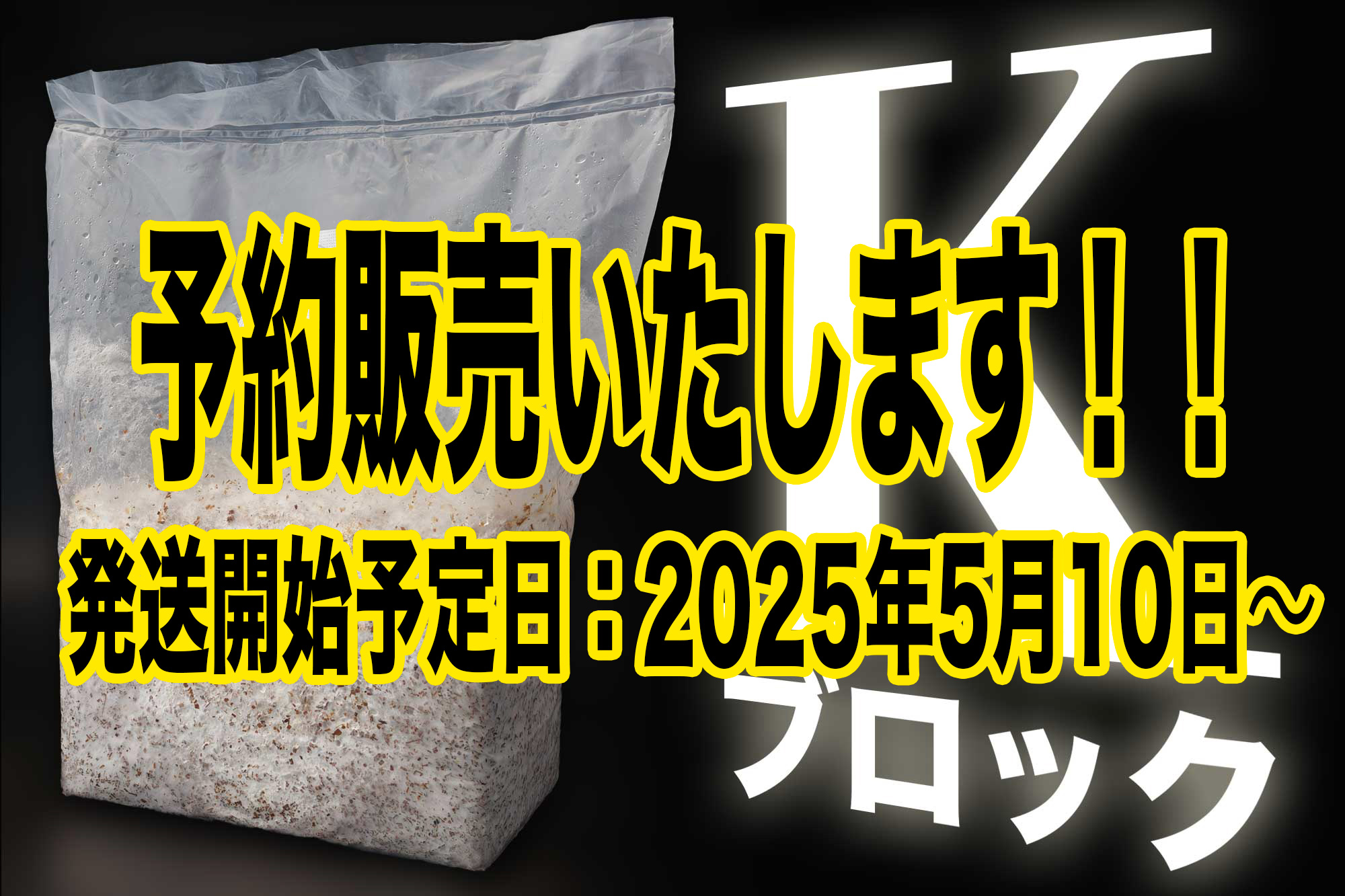 Kブロック予約販売いたします！！　発送開始予定日:2025年5月10日〜
