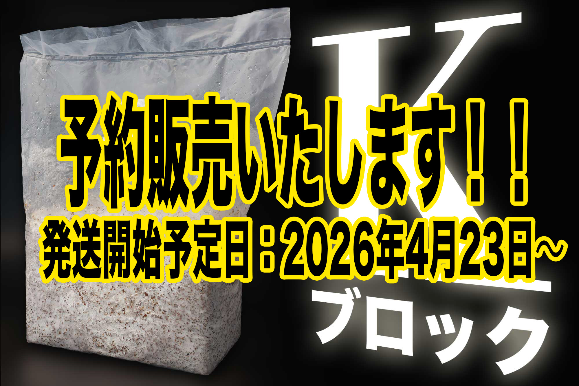 Kブロック予約販売いたします！！　発送開始予定日:2026年4月23日〜