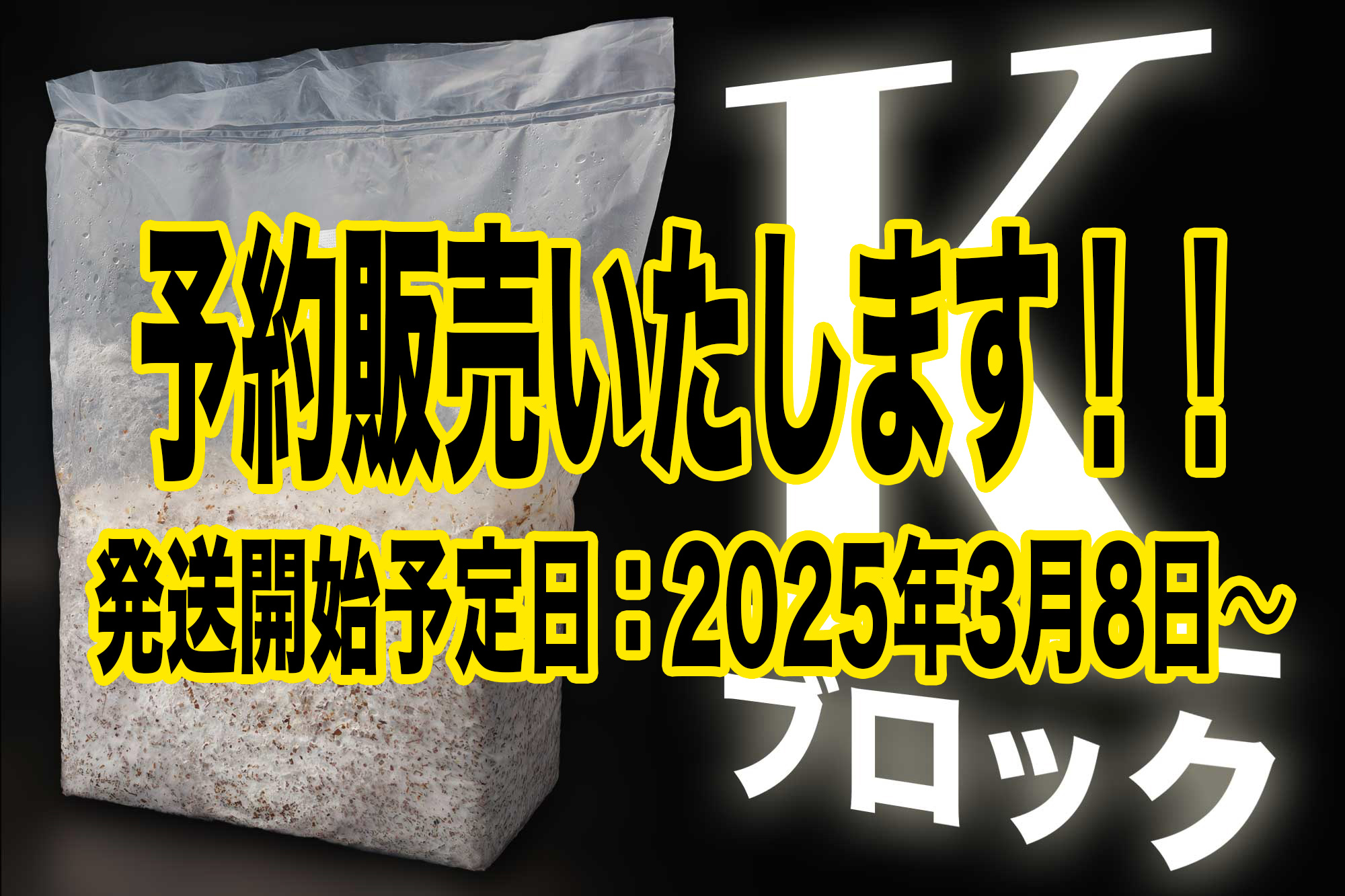 Kブロック予約販売いたします！！　発送開始予定日:2025年3月8日〜