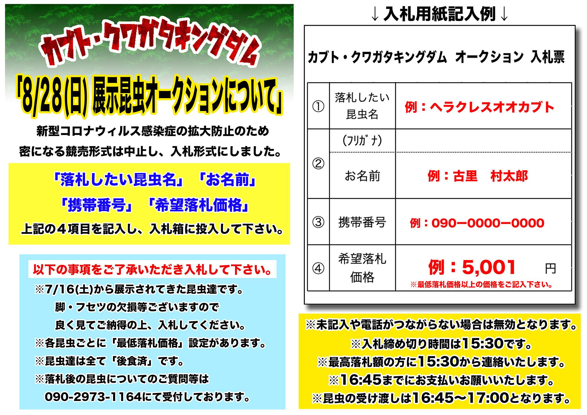 秋田ふるさと村「カブト・クワガタキングダム」最終日8/28(日)は展示個体オークション開催！