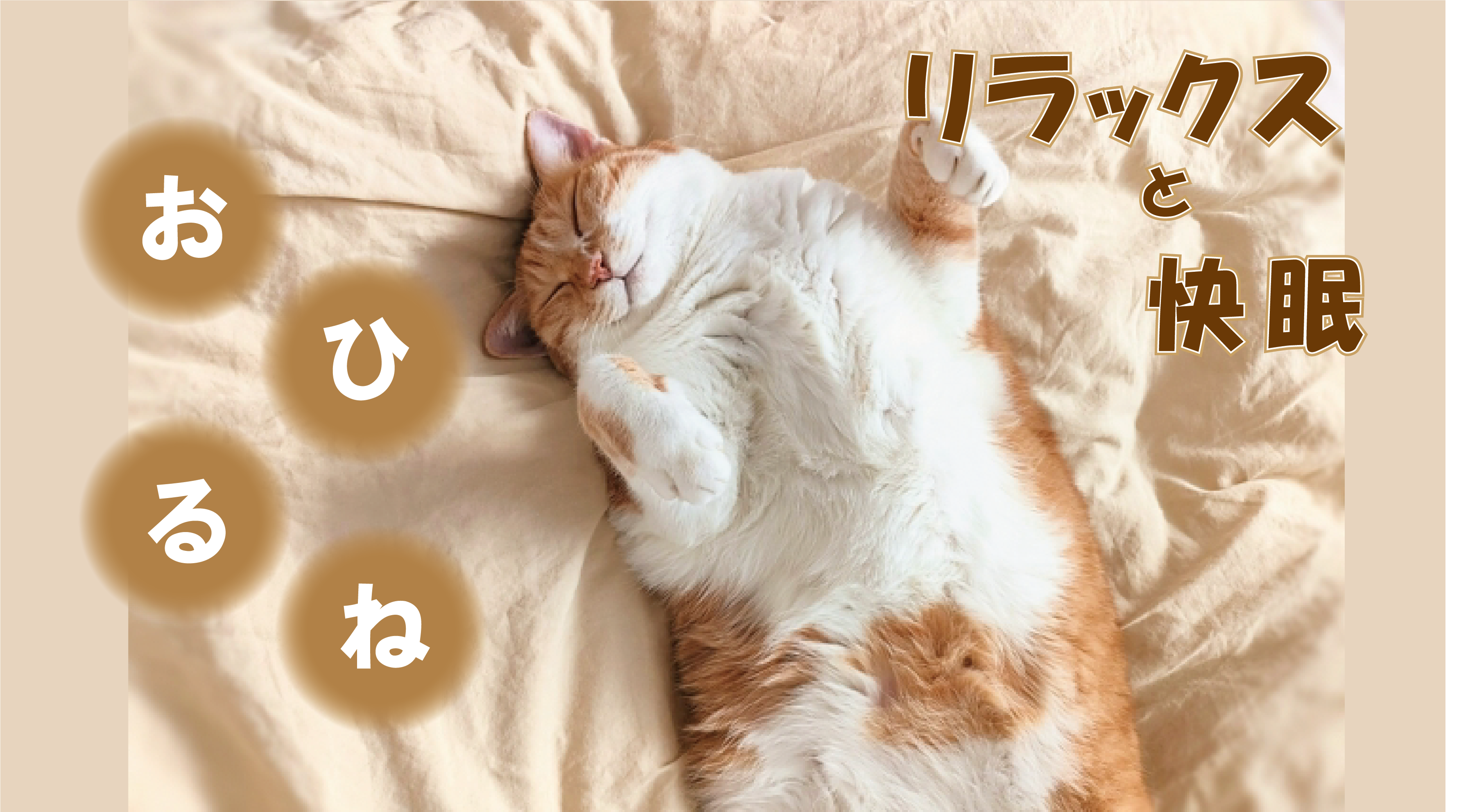 昼寝の効果的な取り入れ方～仕事の合間にリラックスと快眠を～