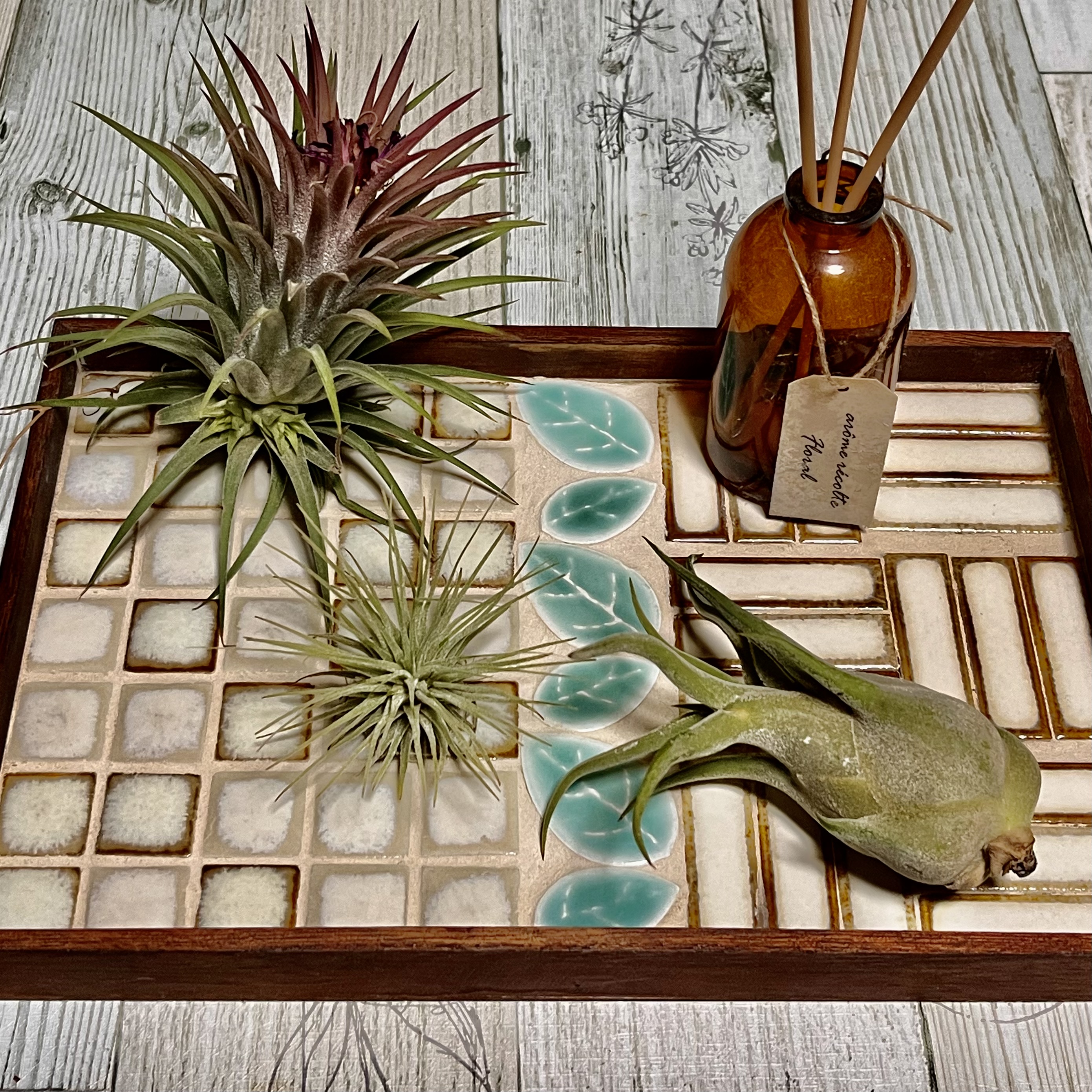 グリーントレイ